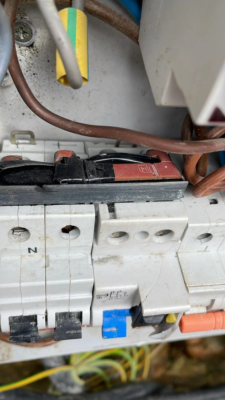 WhatsApp Image 2024-07-28 at 15.29.50.jpeg