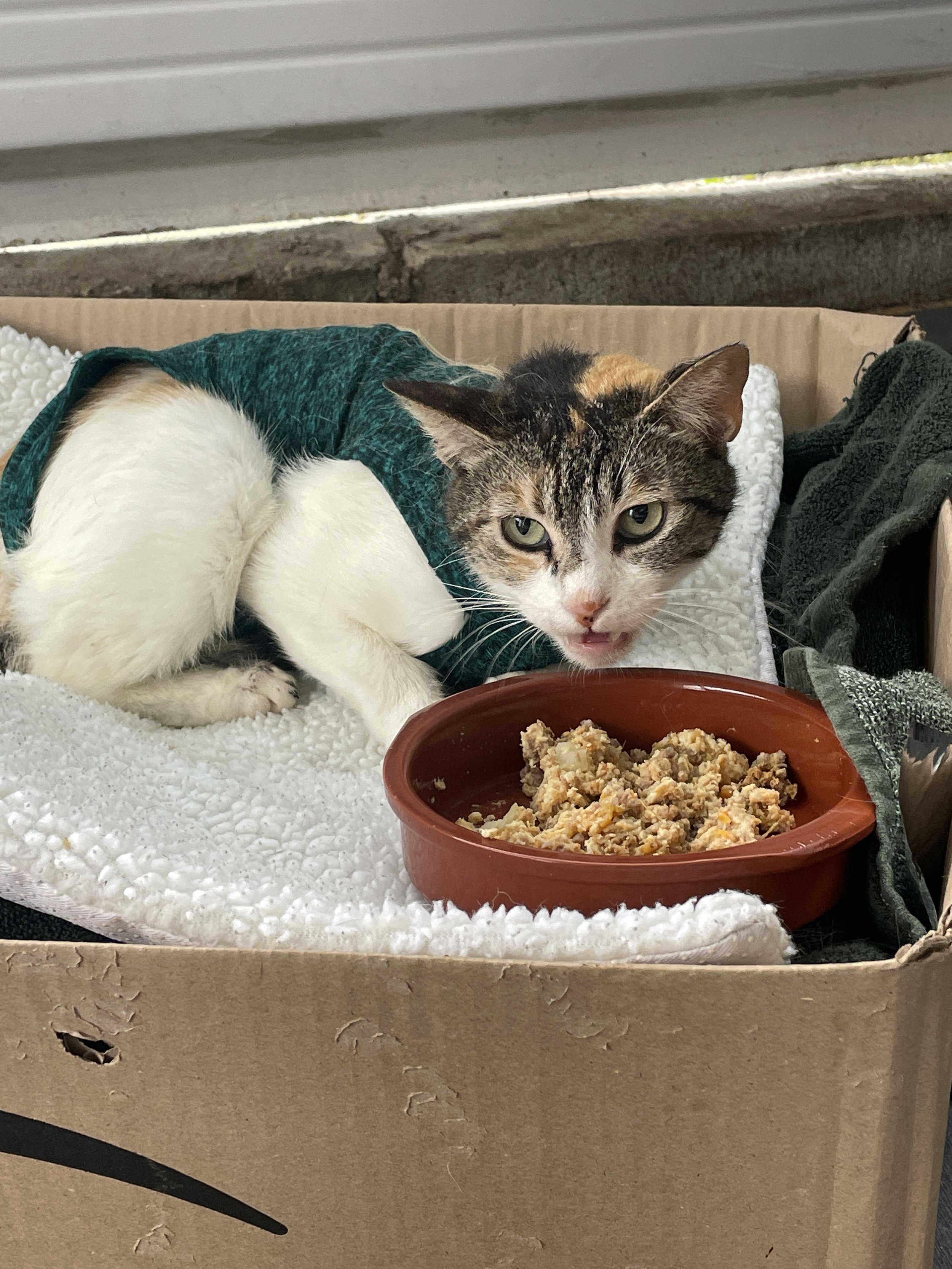 Lessons in Sterilization 