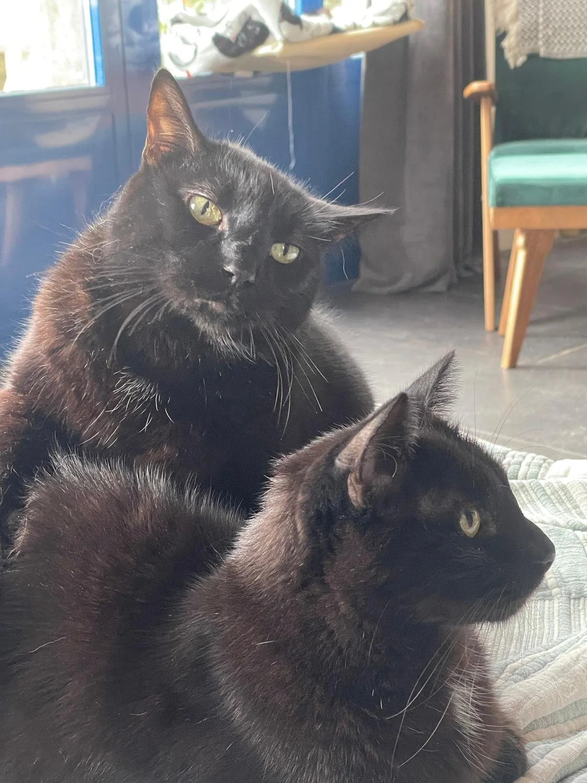 WhatsApp Image 2024-12-26 at 17.01.36 (4).jpeg