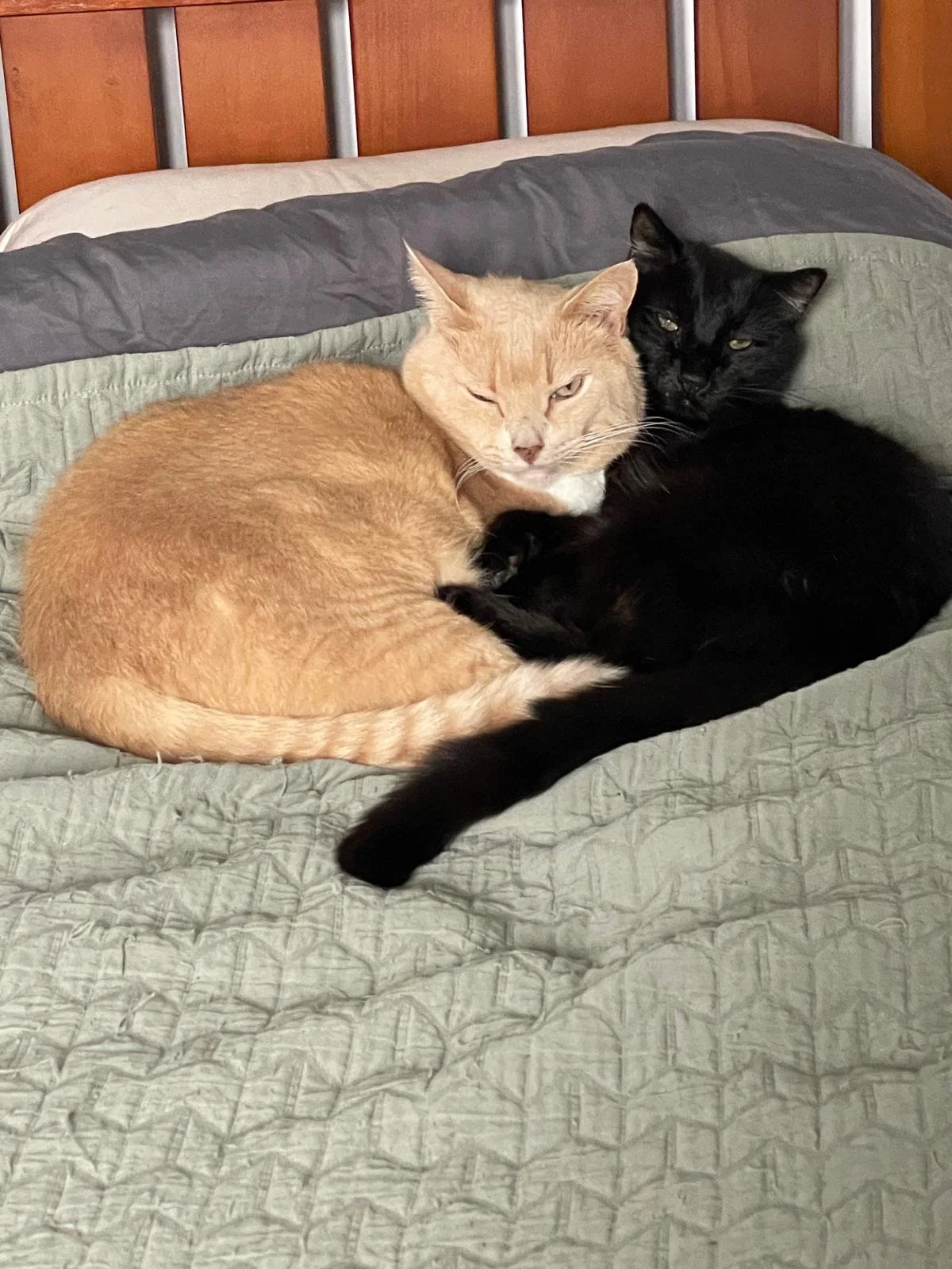 WhatsApp Image 2024-12-26 at 17.01.37.jpeg