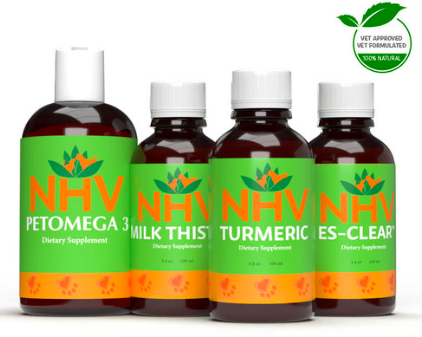 Screen Shot 2024-12-27 at 11.37.59 AM.png