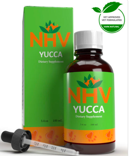 Screen Shot 2024-12-27 at 11.41.35 AM.png