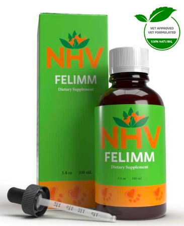 Screen Shot 2024-12-27 at 11.42.35 AM.png