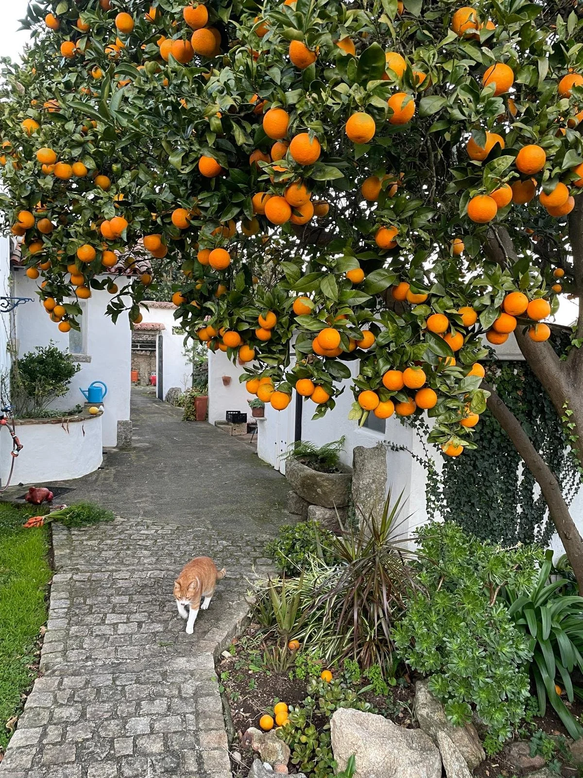 WhatsApp Image 2026-01-09 at 19.56.16.jpeg