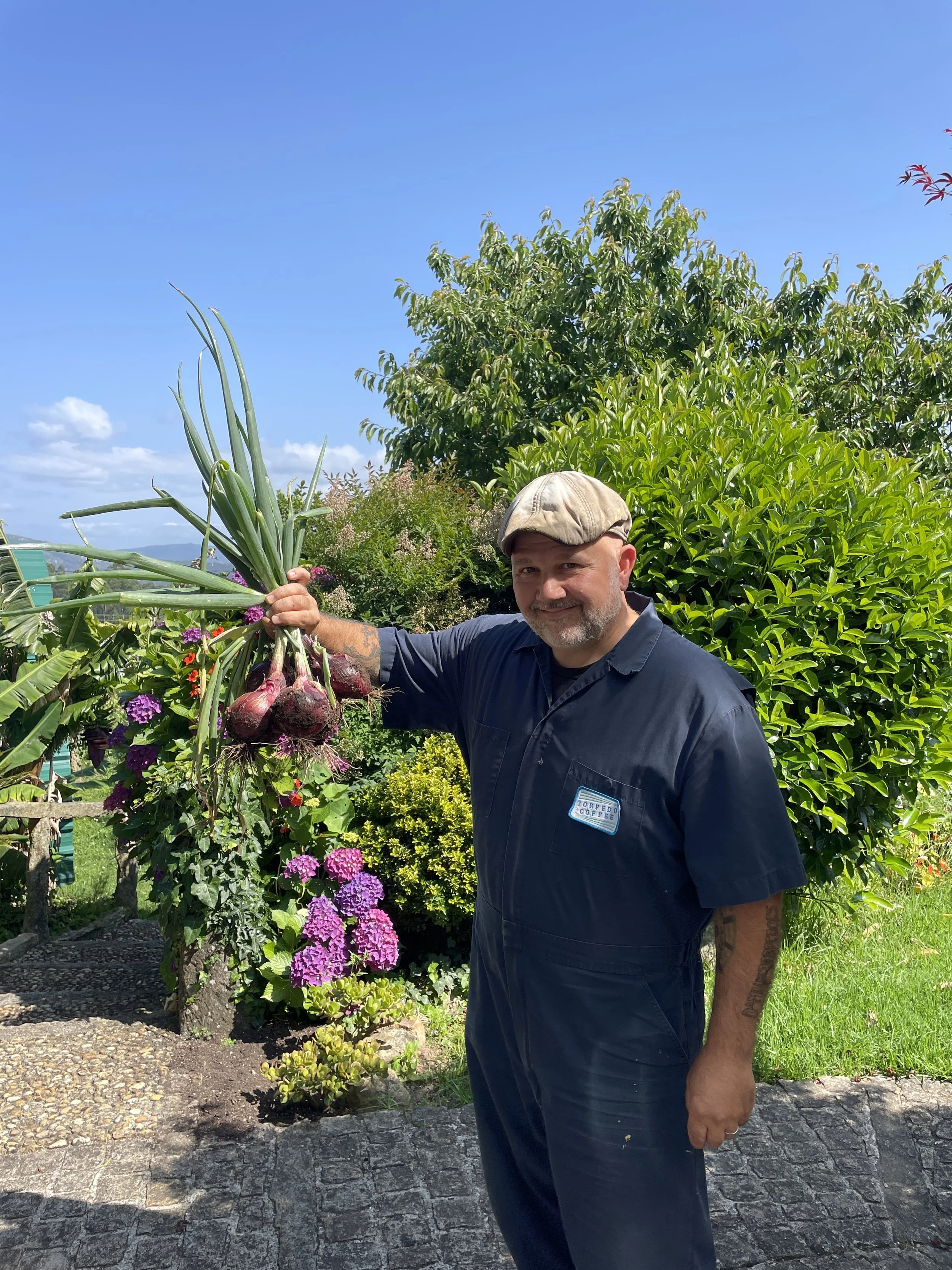 A man holding a bunch of freshly harvested red onions in a garden with lush green bushes, purple flowers, and a clear blue sky.