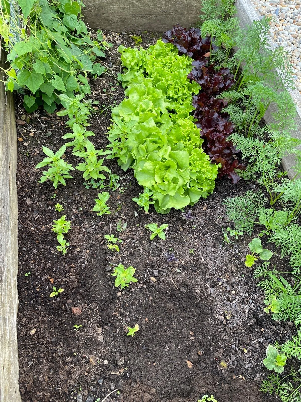 WhatsApp Image 2026-02-12 at 18.19.43.jpeg