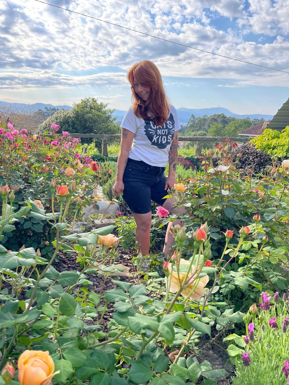 WhatsApp Image 2025-05-09 at 15.42.57 (1).jpeg