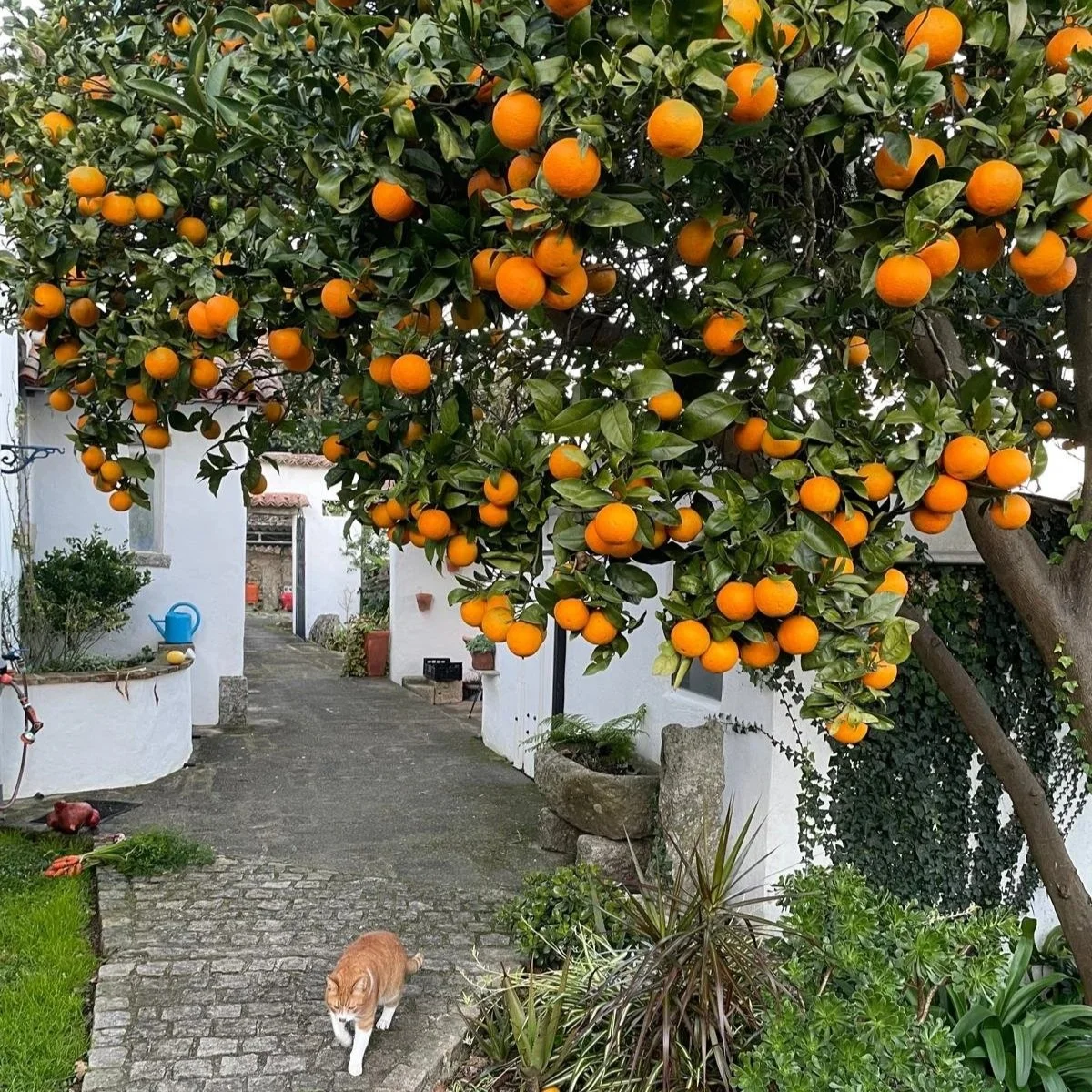 WhatsApp Image 2026-01-09 at 19.56.16.jpg