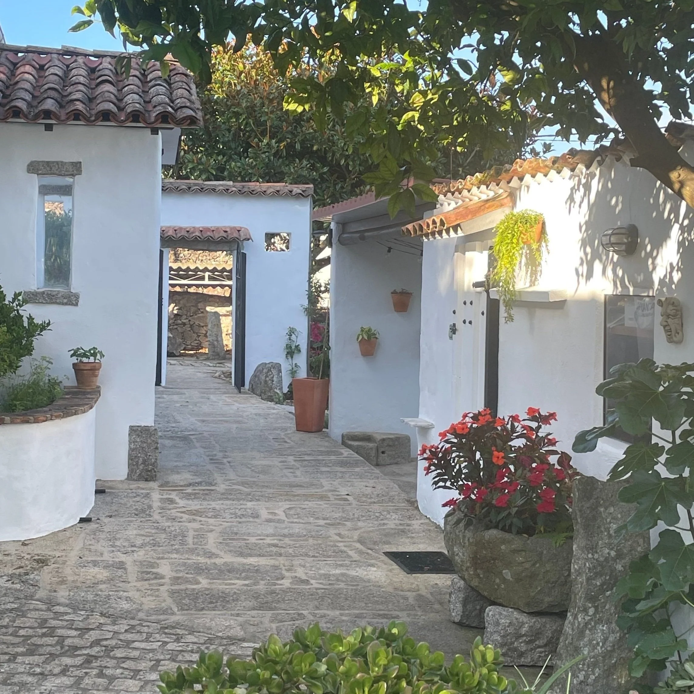 A picturesque alleyway in a Mediterranean village with whitewashed buildings, terracotta roof tiles, potted plants, and flowering shrubs, illuminated by sunlight.
