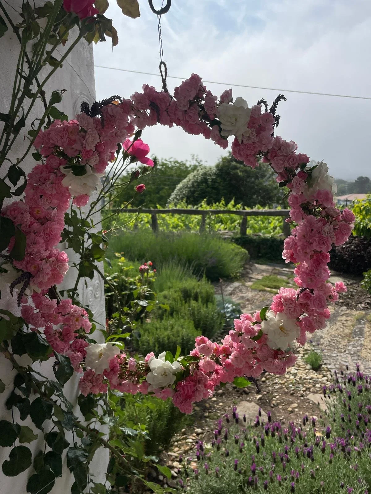 WhatsApp Image 2025-06-14 at 16.05.24 (1).jpeg