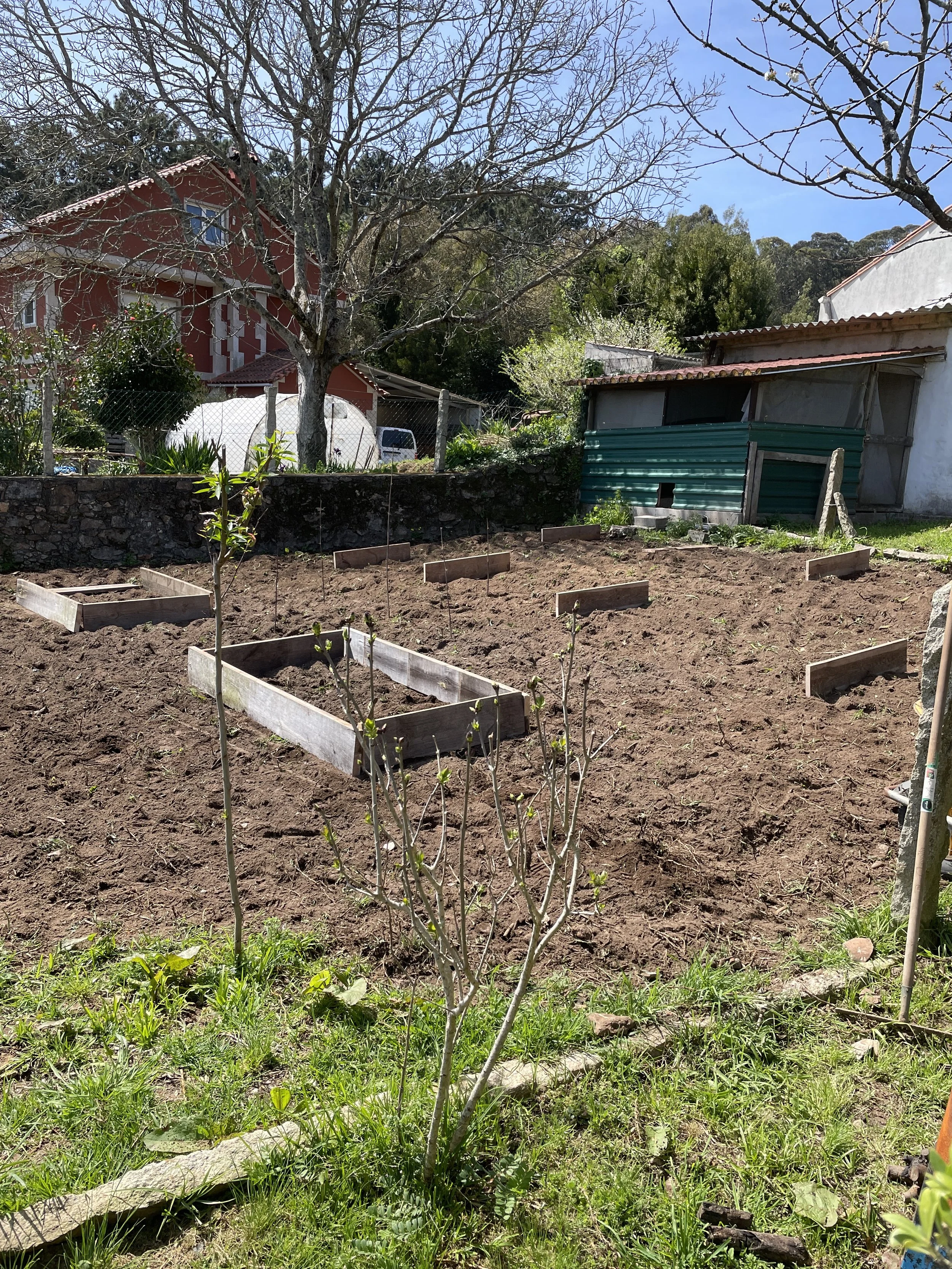 A garden with freshly tilled soil, potted plant, and empty wooden garden beds, with houses and trees in the background on a sunny day.