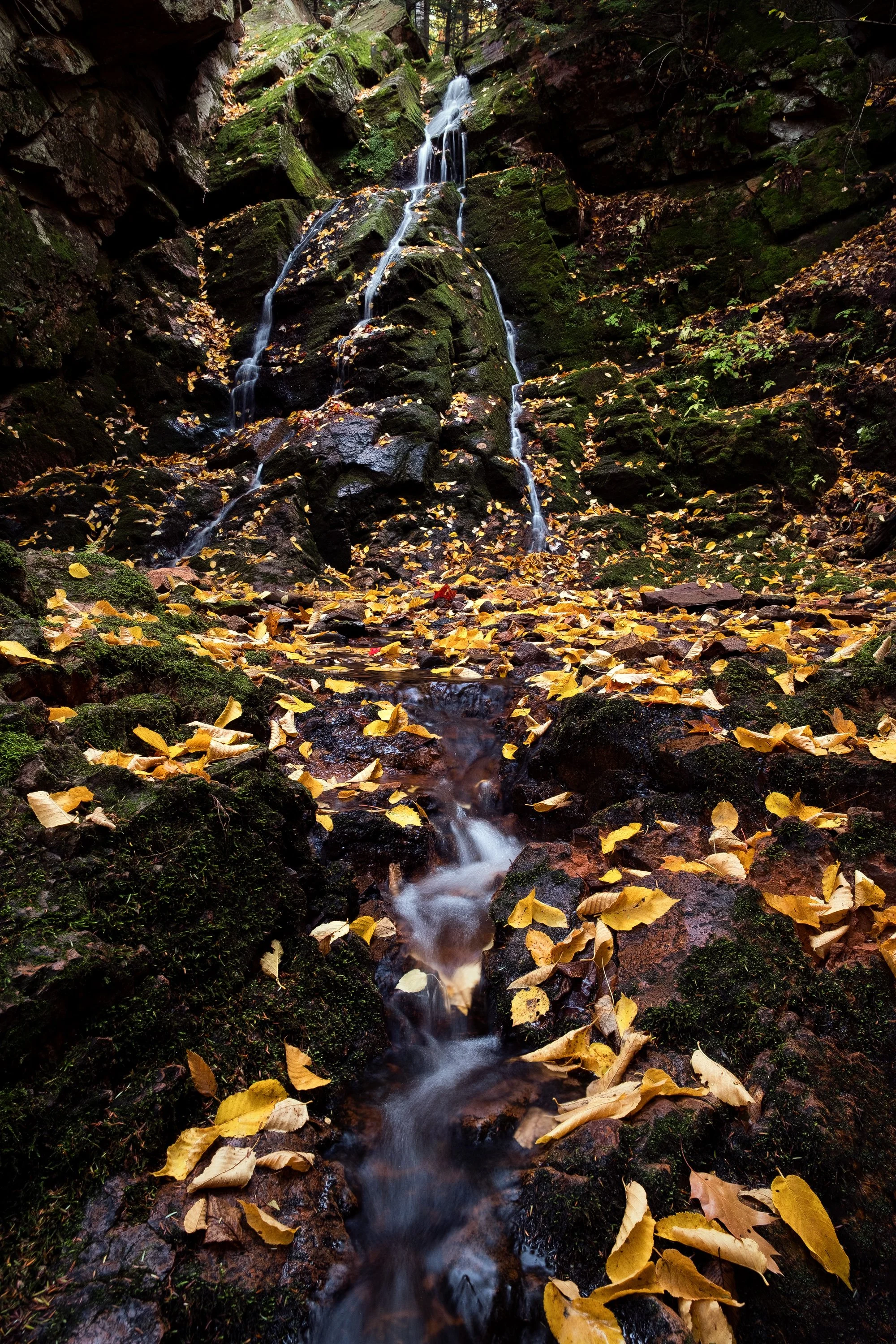 "Autumn Amphitheater" - Ottawa National Forest, Michigan
(2022)