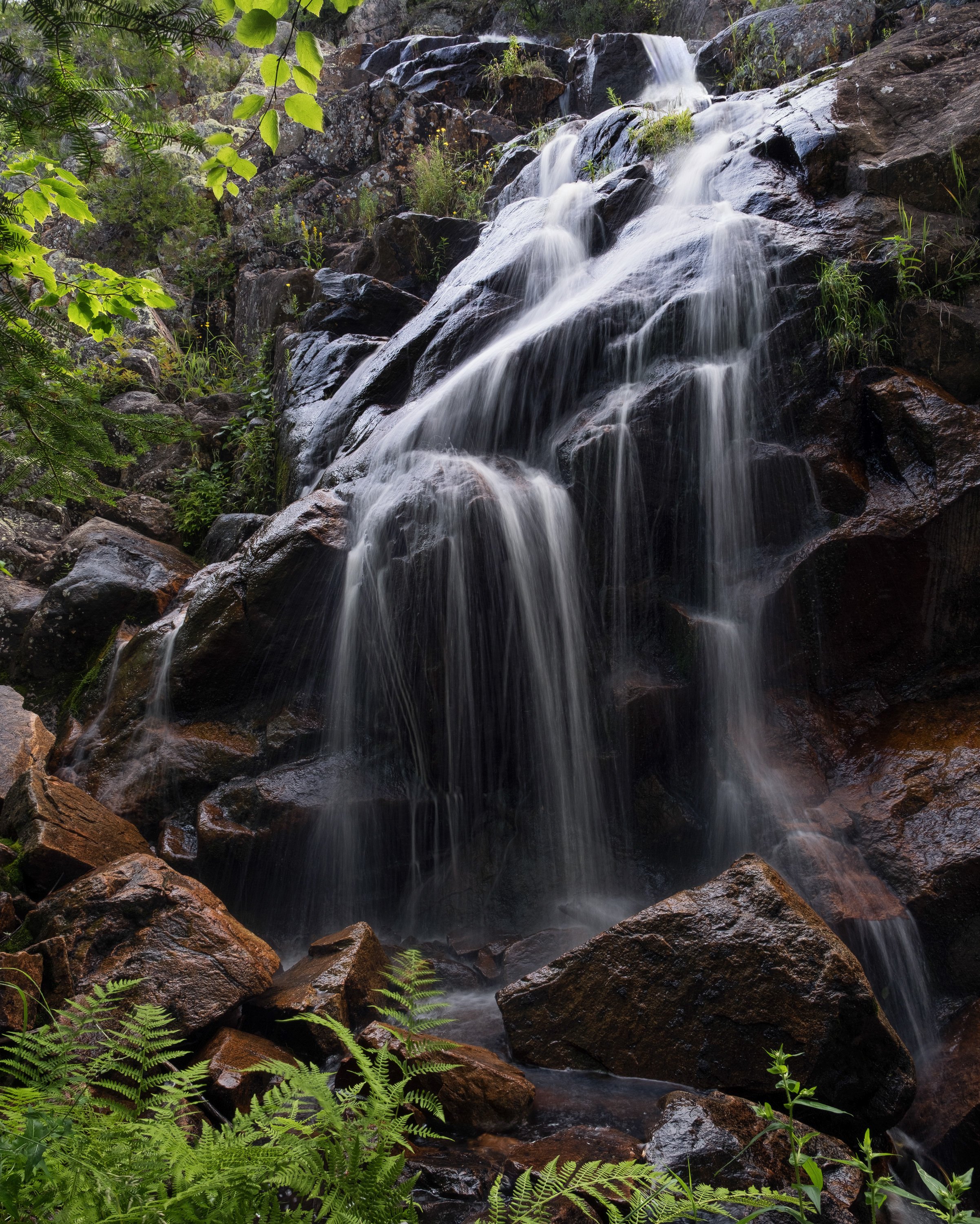 "Falling Light" - Pukaskwa National Park, Ontario, Canada (2026)