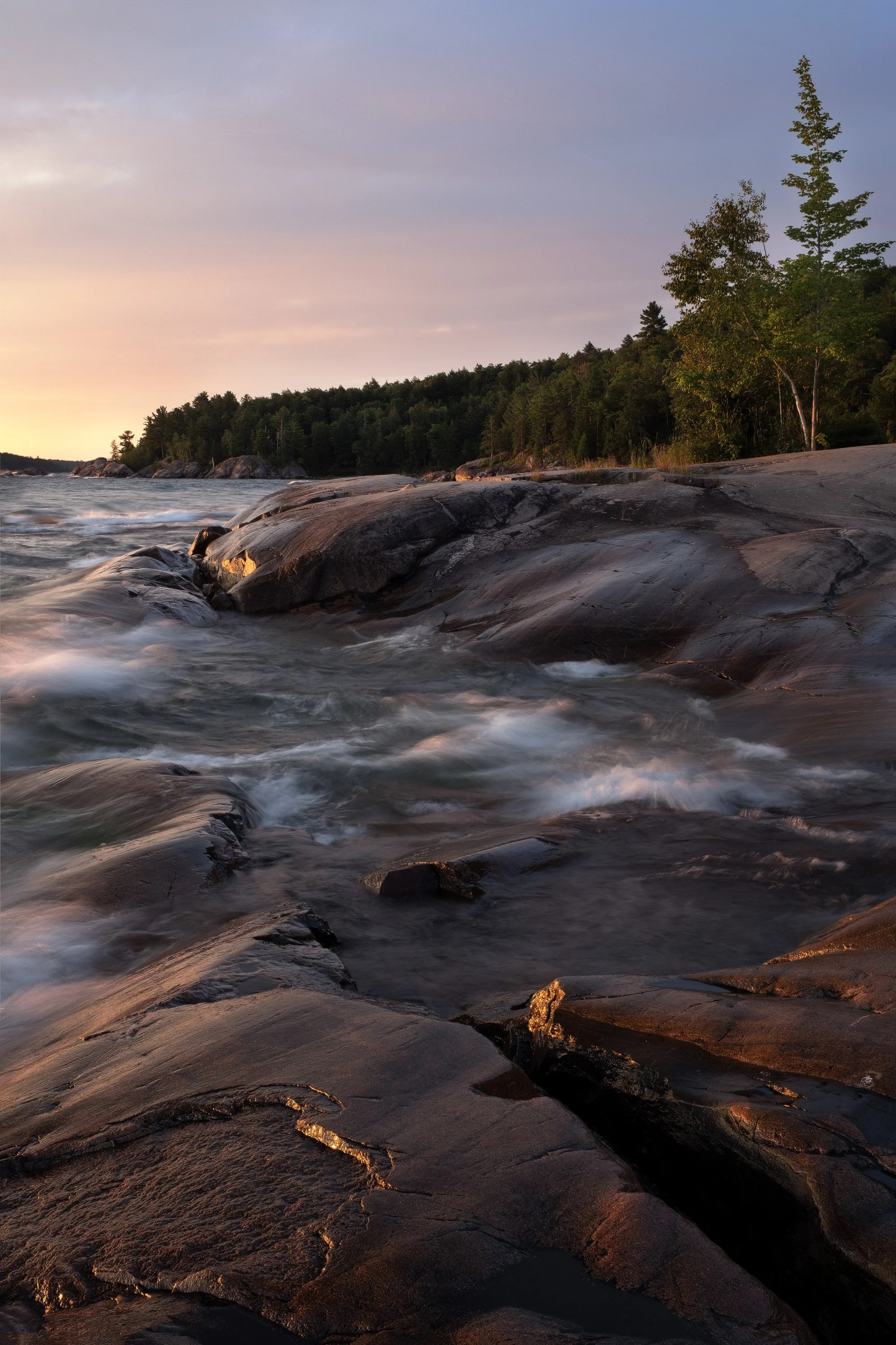 "Dawnbreak" - Gwinn State Forest, Michigan (2024)