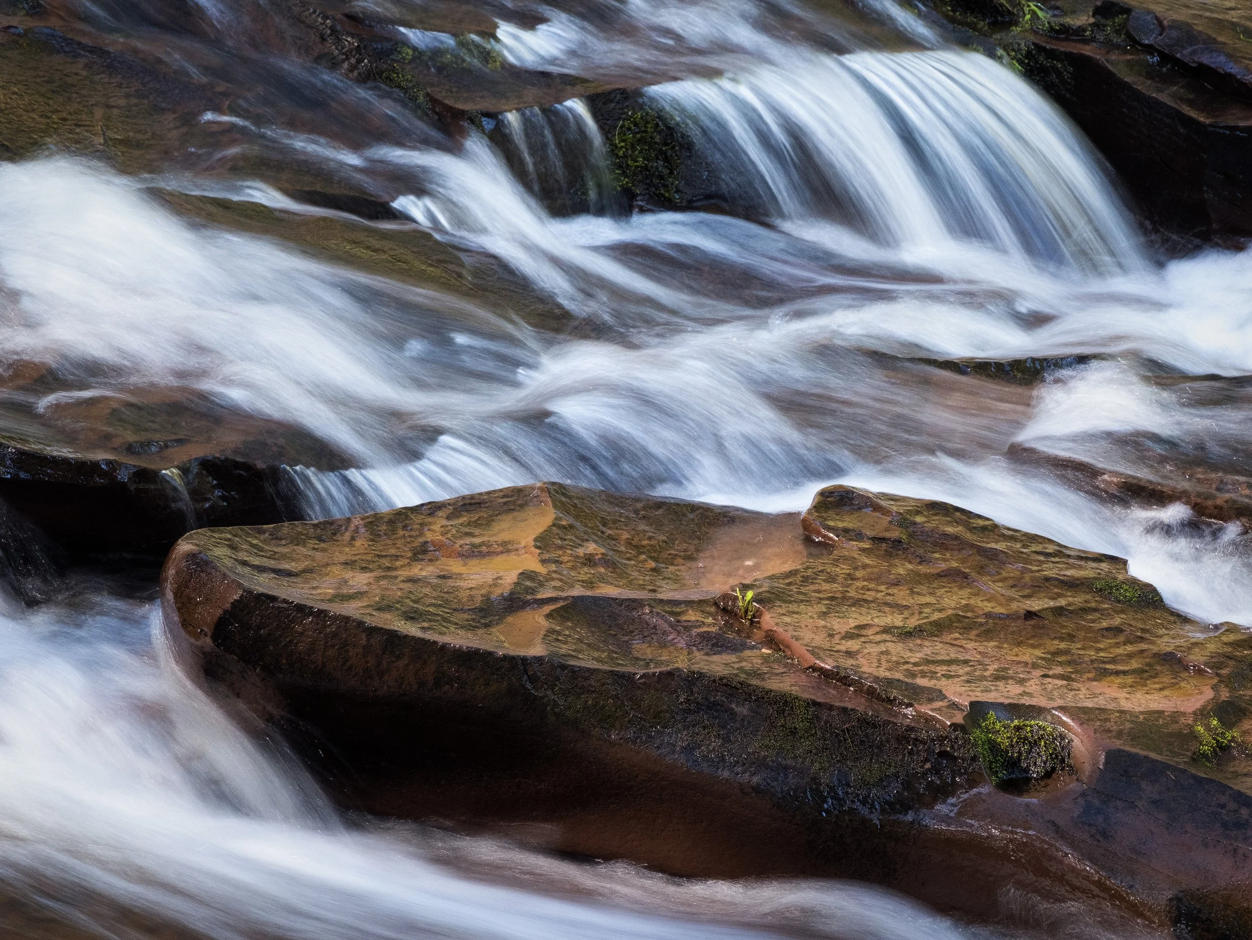 "Way of Water" - Porcupine Mountains Wilderness State Park, Michigan
(2026)