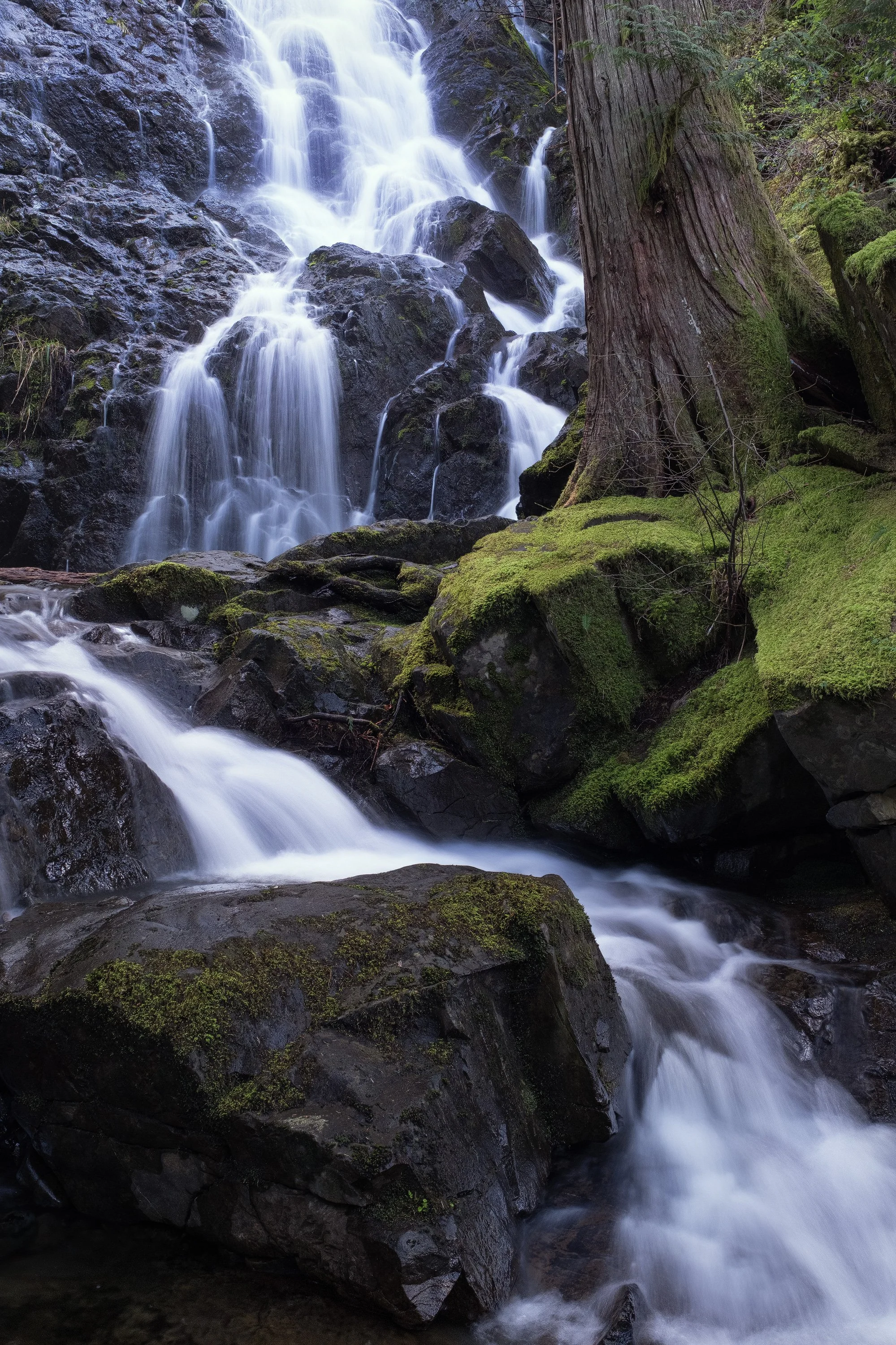 "Skyfall" - Sooke Potholes Provincial Park, British Columbia, Canada (2025)