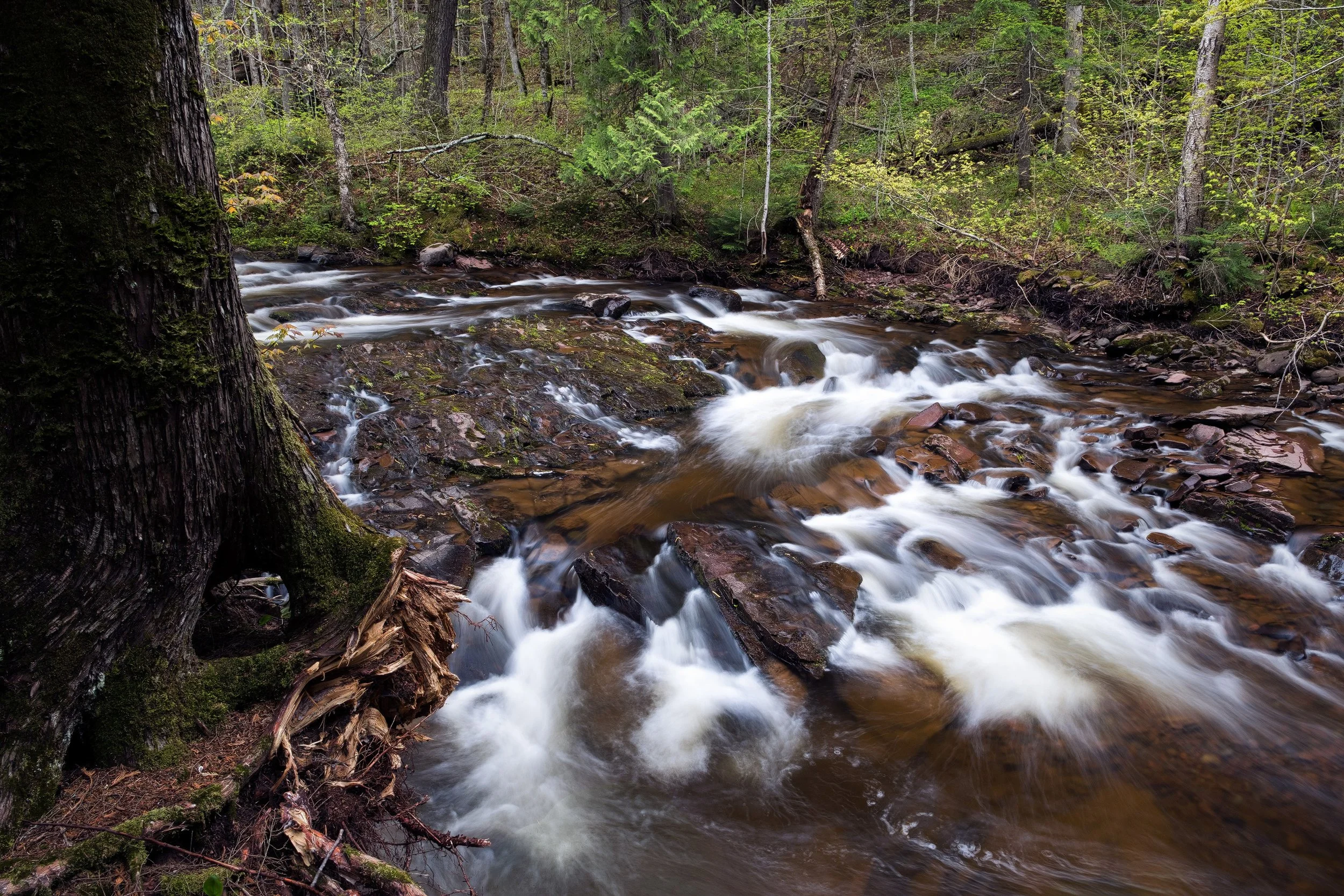 "River Realm" - Porcupine Mountains Wilderness State Park, Michigan (2026)