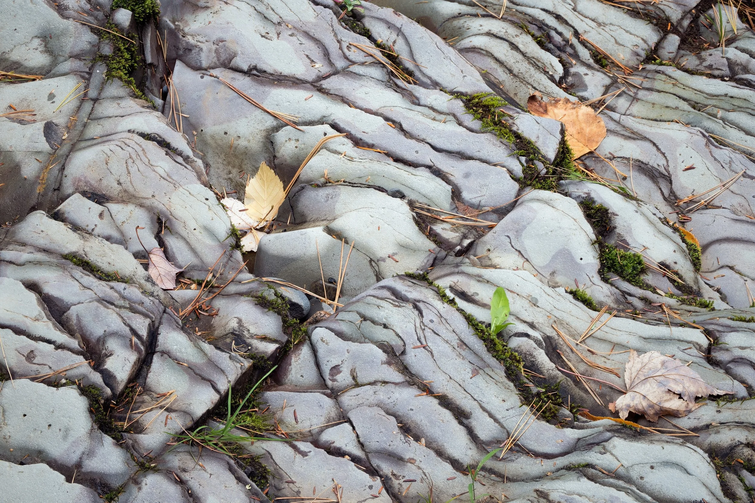 Striations" - Baraga County, Michigan (2025)