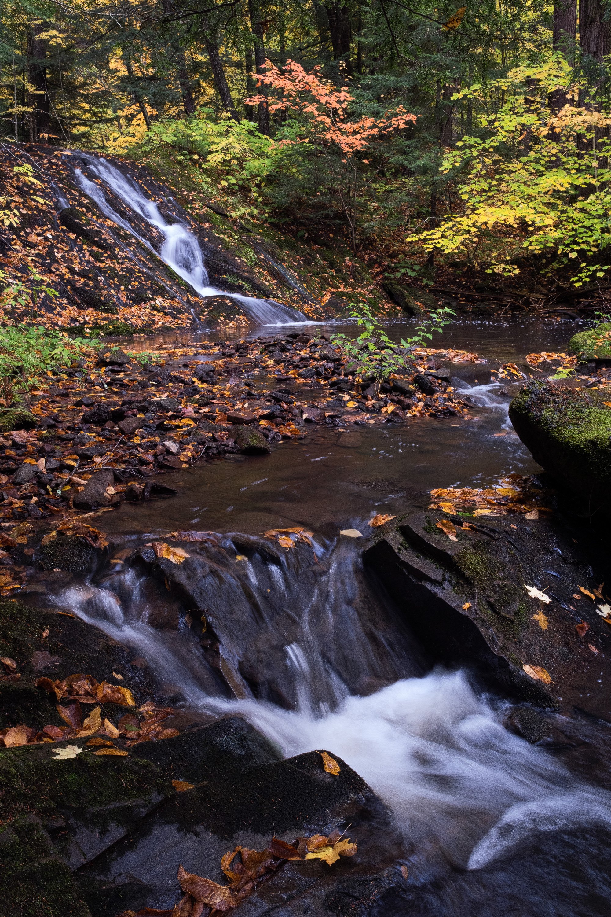 "Elemental Union" - Porcupine Mountains Wilderness State Park, Michigan
(2024)