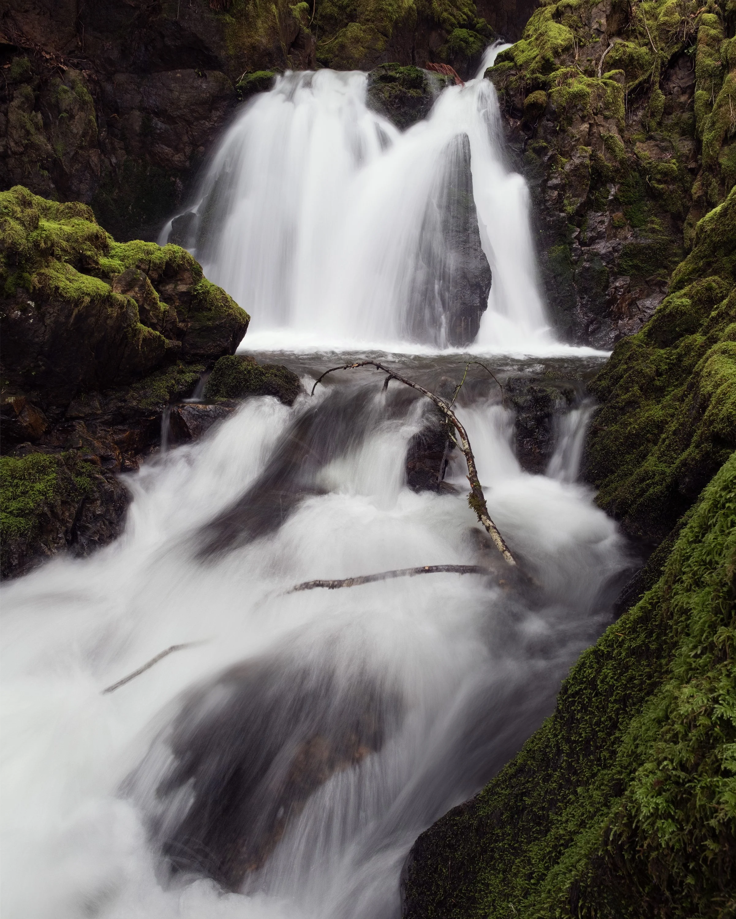 "Green Room" - Koksilah River Provincial Park, British Columbia, Canada (2025)