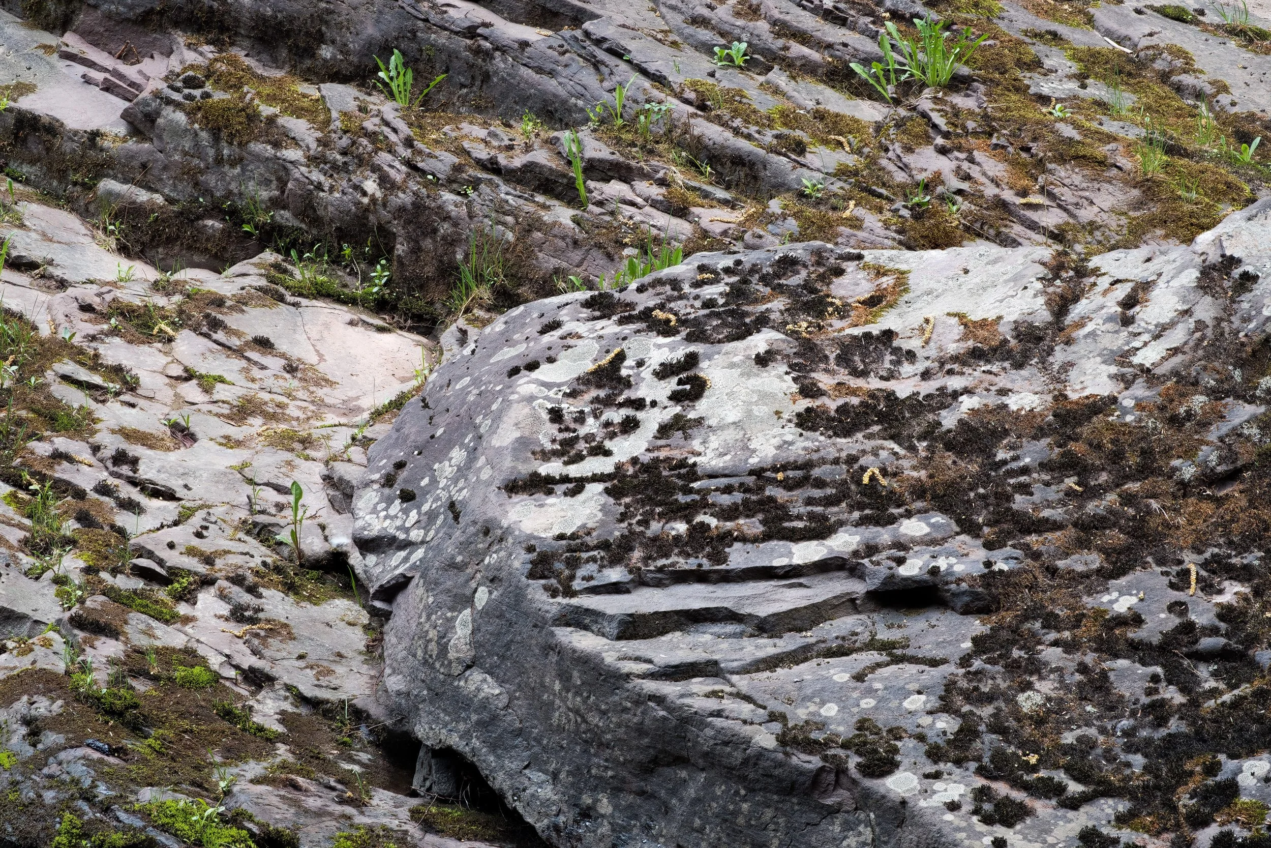 "Score and Slip" - Porcupine Mountains Wilderness State Park, Michigan (2026)