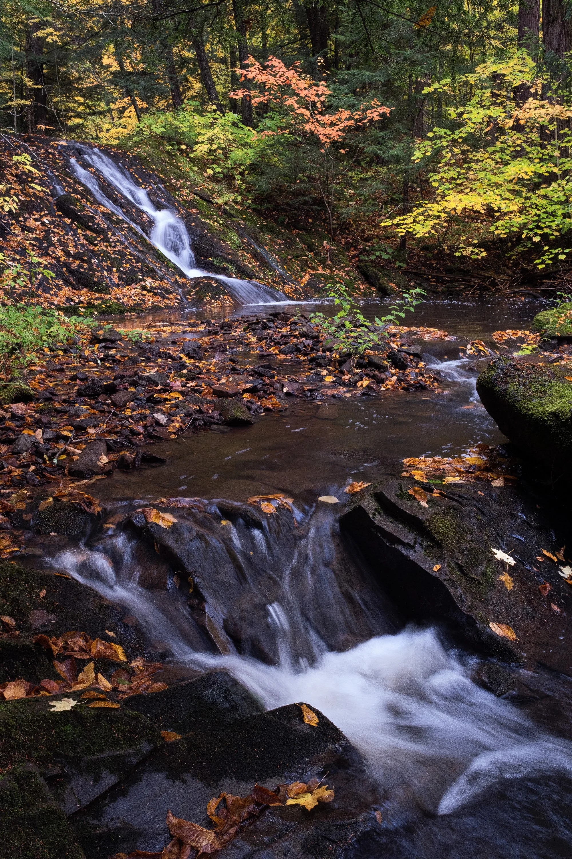 "Elemental Union" - Porcupine Mountains Wilderness State Park, Michigan (2024)