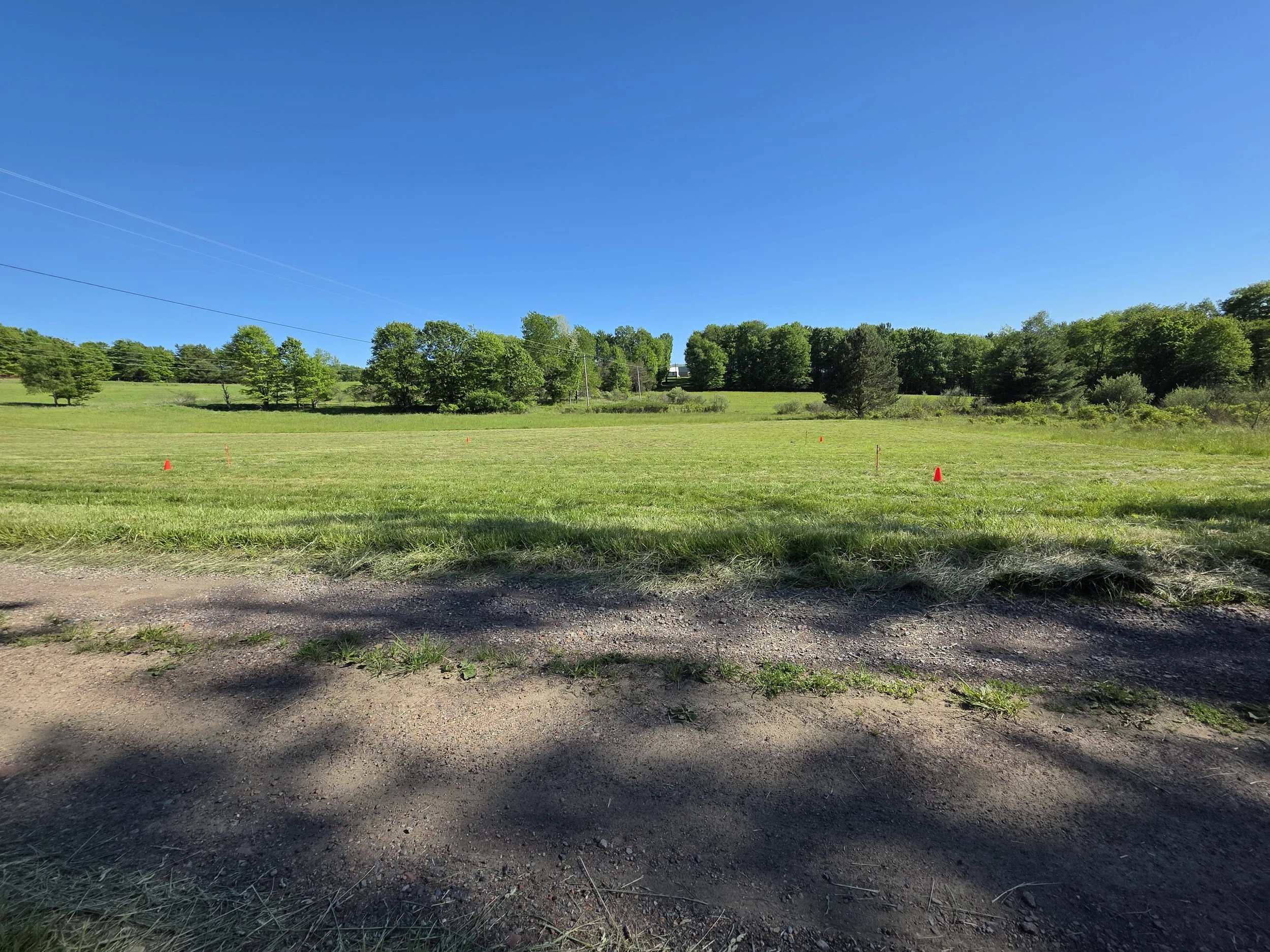 Open grassy field with small orange markers, surrounded by trees and blue sky.