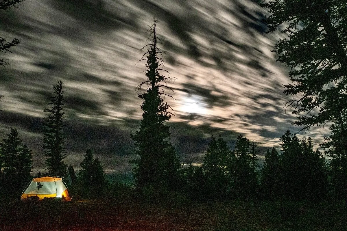 Camping for a week in #sawtoothnationalrecreationarea was too beautiful to post just one picture. We hiked in both the #sawtoothmountains and #whiteclouds. Full moon, fields of wildflowers, huge burns. So good to be in the mountains. #idahoexplored #