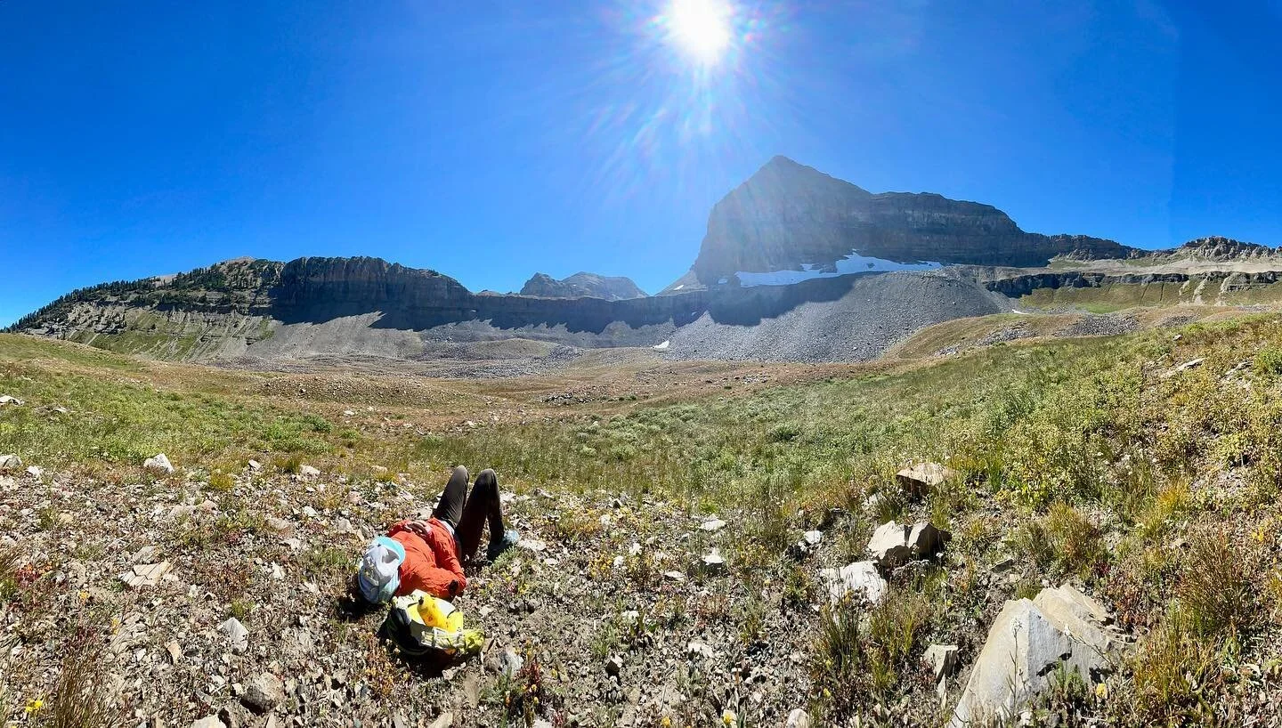 I&rsquo;ve been hiking the #wasatch with our daughter, Dory. #mountolympus is steep! #timpanogos is lovely! #wildutah