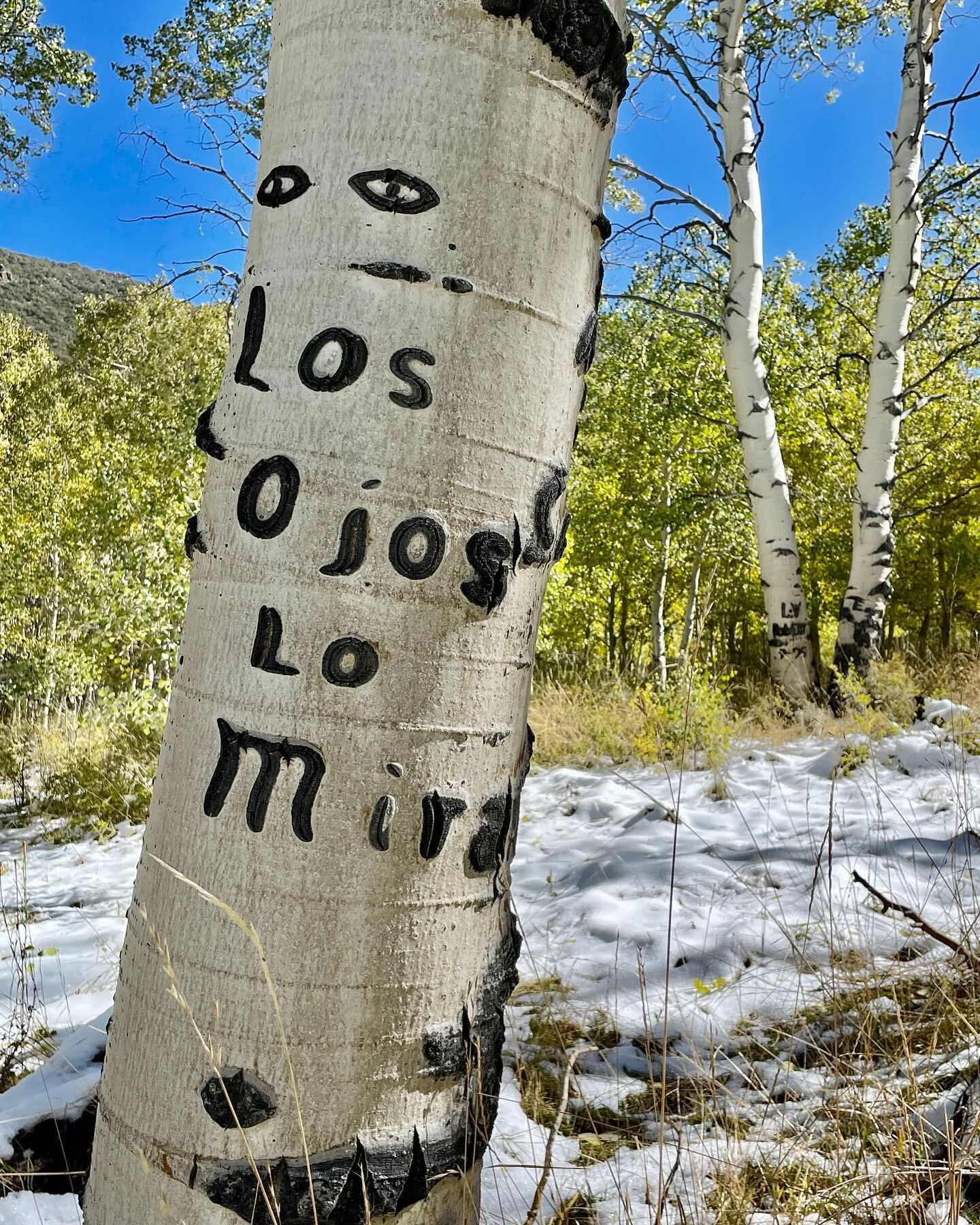 Am I on the trail? Let&rsquo;s see&mdash;yes! Best sheepherder #graffiti ever. #toiyaberange #nevada