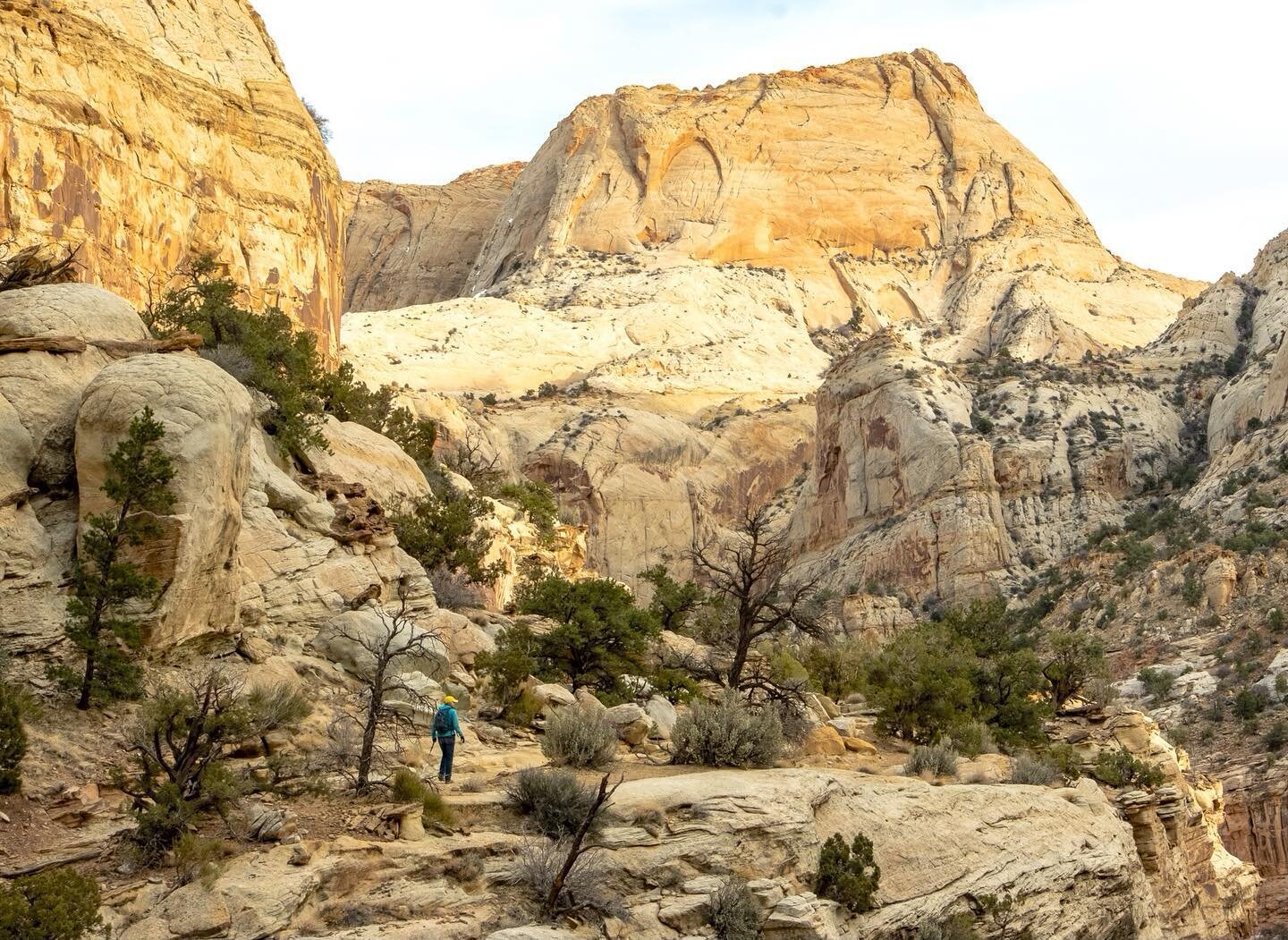 #capitolreefnationalpark will be closing the Scenic Drive to upgrade (civilize?) the road this summer. We wanted to get down there while we can&mdash;especially to take advantage of the enormous sun roof in our new Ionic 5. We took turns riding in th