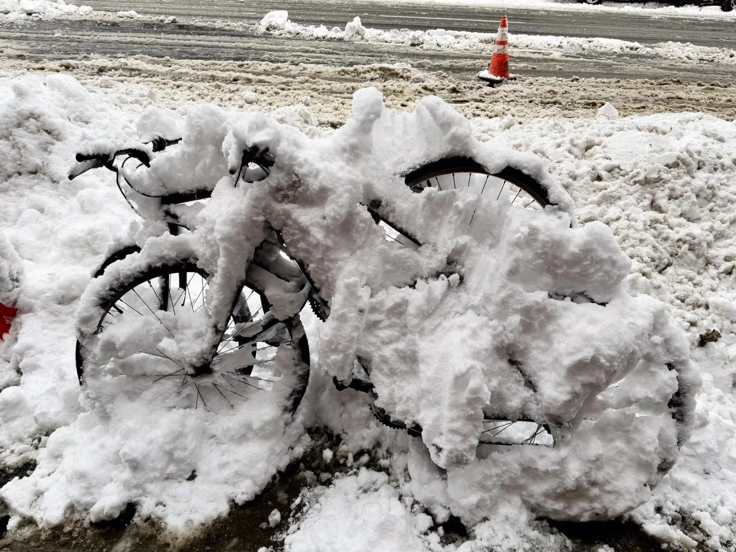 What a treat to be in #newyorkcity for the #blizzardof2026 ! And what a great day to have free tickets to #thedailyshow &mdash;with the day&rsquo;s short line, we ended up in the front row. The staffers were trying to figure out how to do the show wi