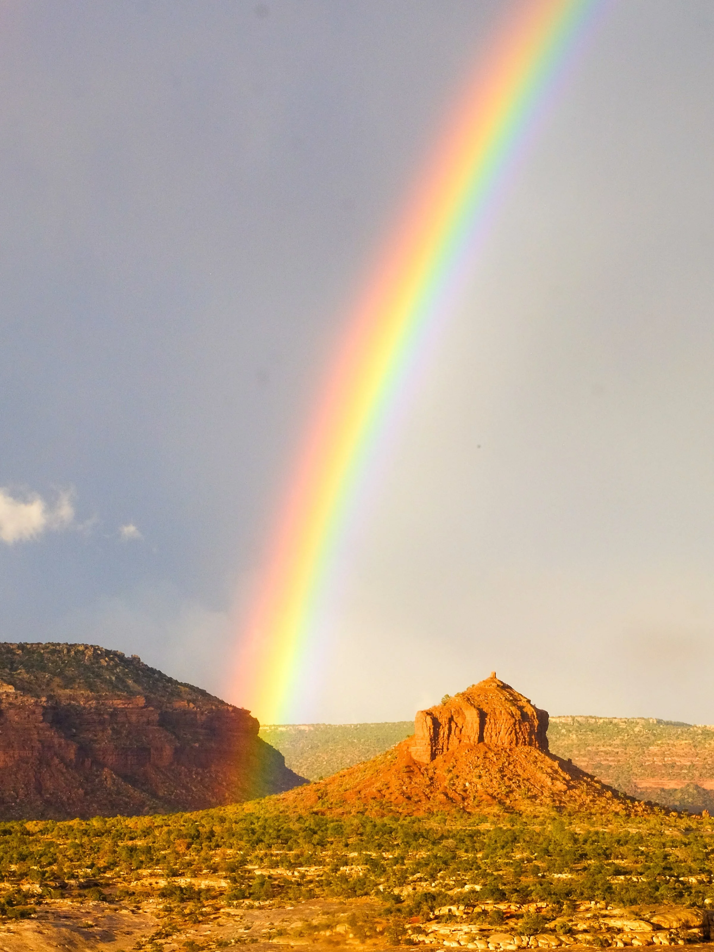 Trump gave in today. Mike Lee and Spencer Cox and Celeste Maloy kept shouting at him about their imagined grievances. And so the president again eviscerated Grand Staircase-Escalante and Bears Ears with the entire complicit Utah delegation watching, 