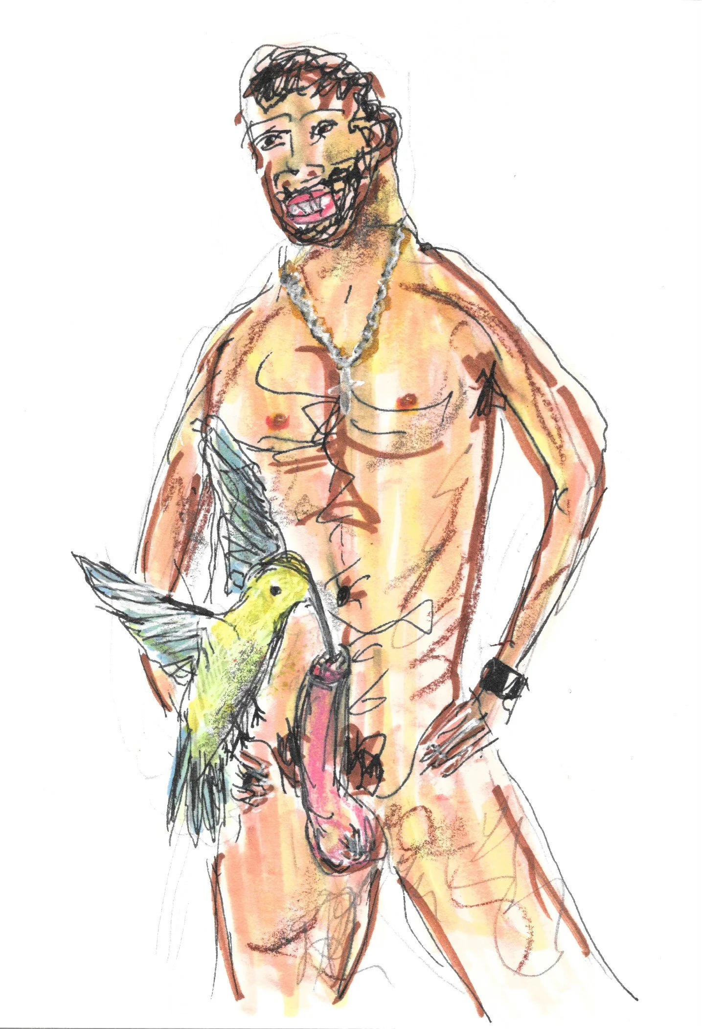 Hummingbird Study.jpeg