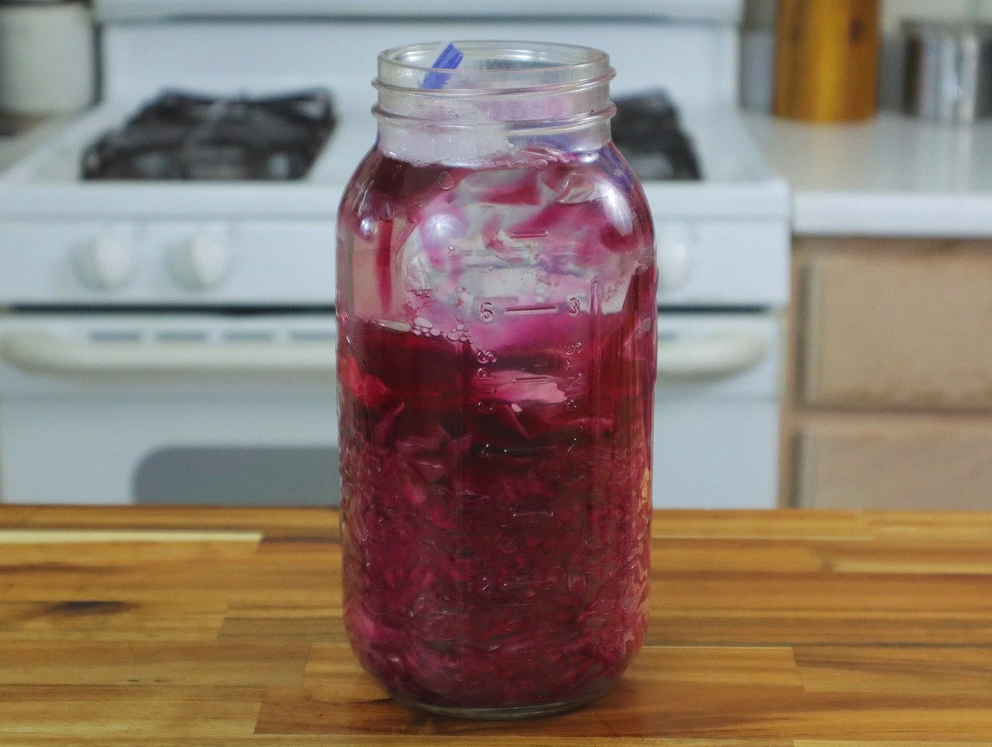 day 1 of sauerkraut fermentation