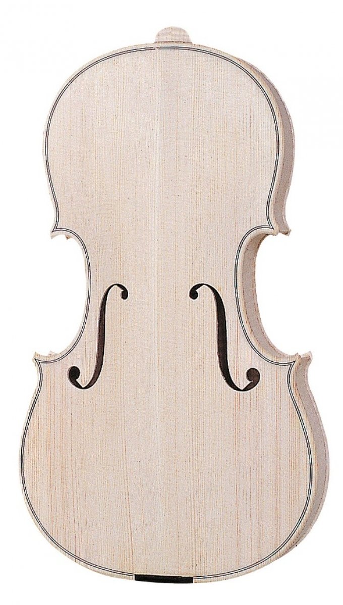 Body of a Violin