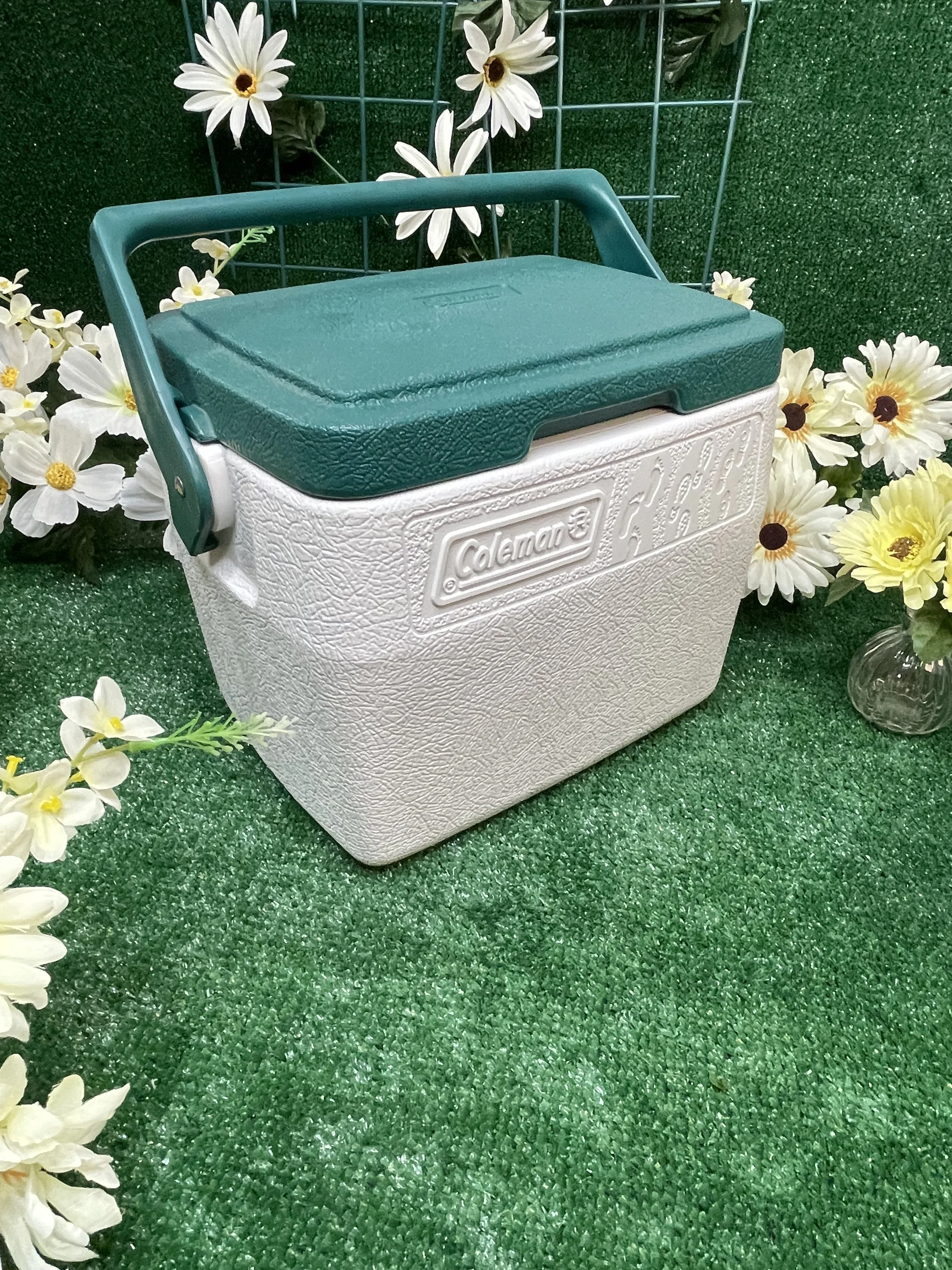 1994 Coleman small cooler