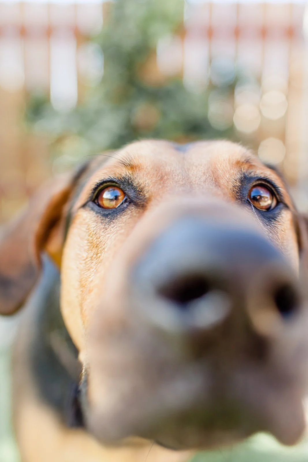 Alex _ Tyler -108.jpg