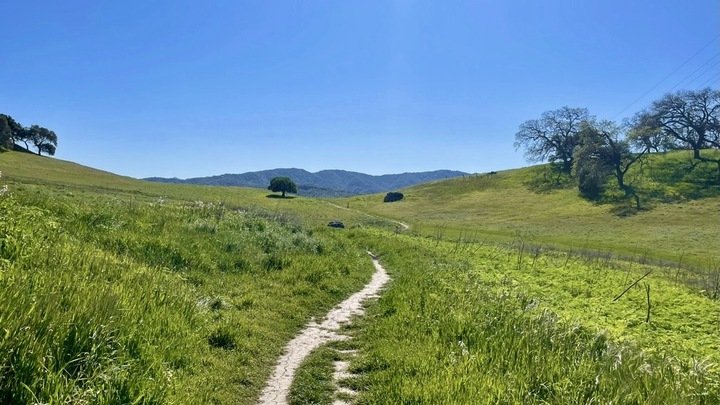 Hike and Hangout @ the Taylor’s