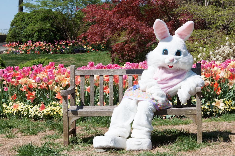 ME AND THE EASTER BUNNY GOT BEEF