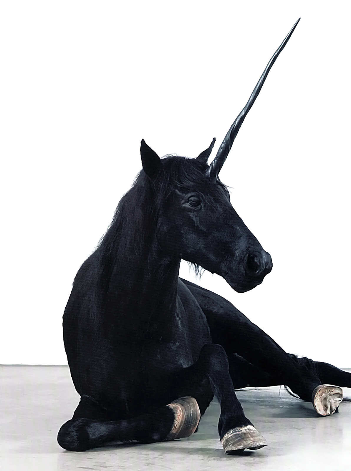 THE UNICORN’S HORN