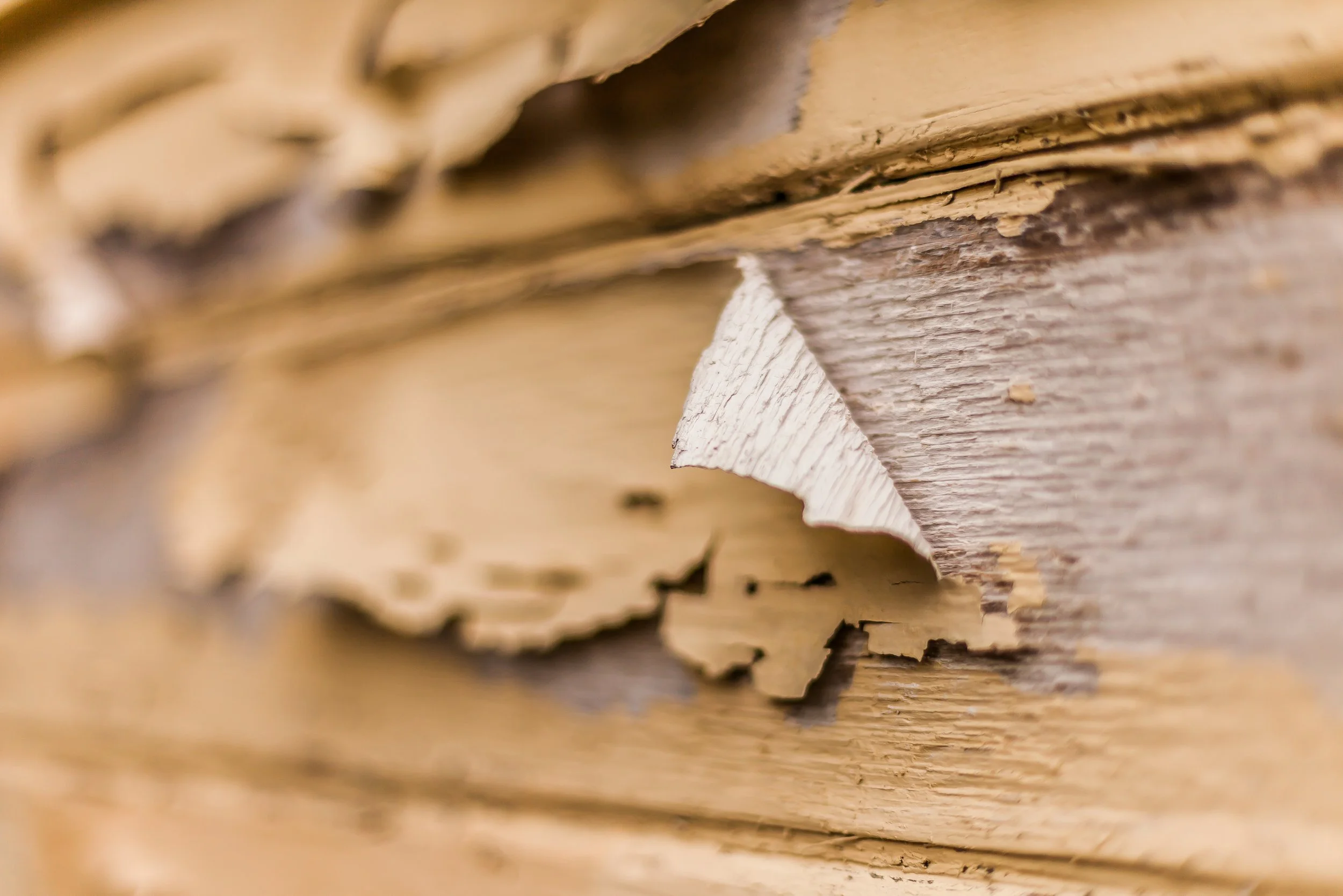 How to Tell If Your Home’s Paint Is Failing: Signs of Peeling, Fading, and Cracking