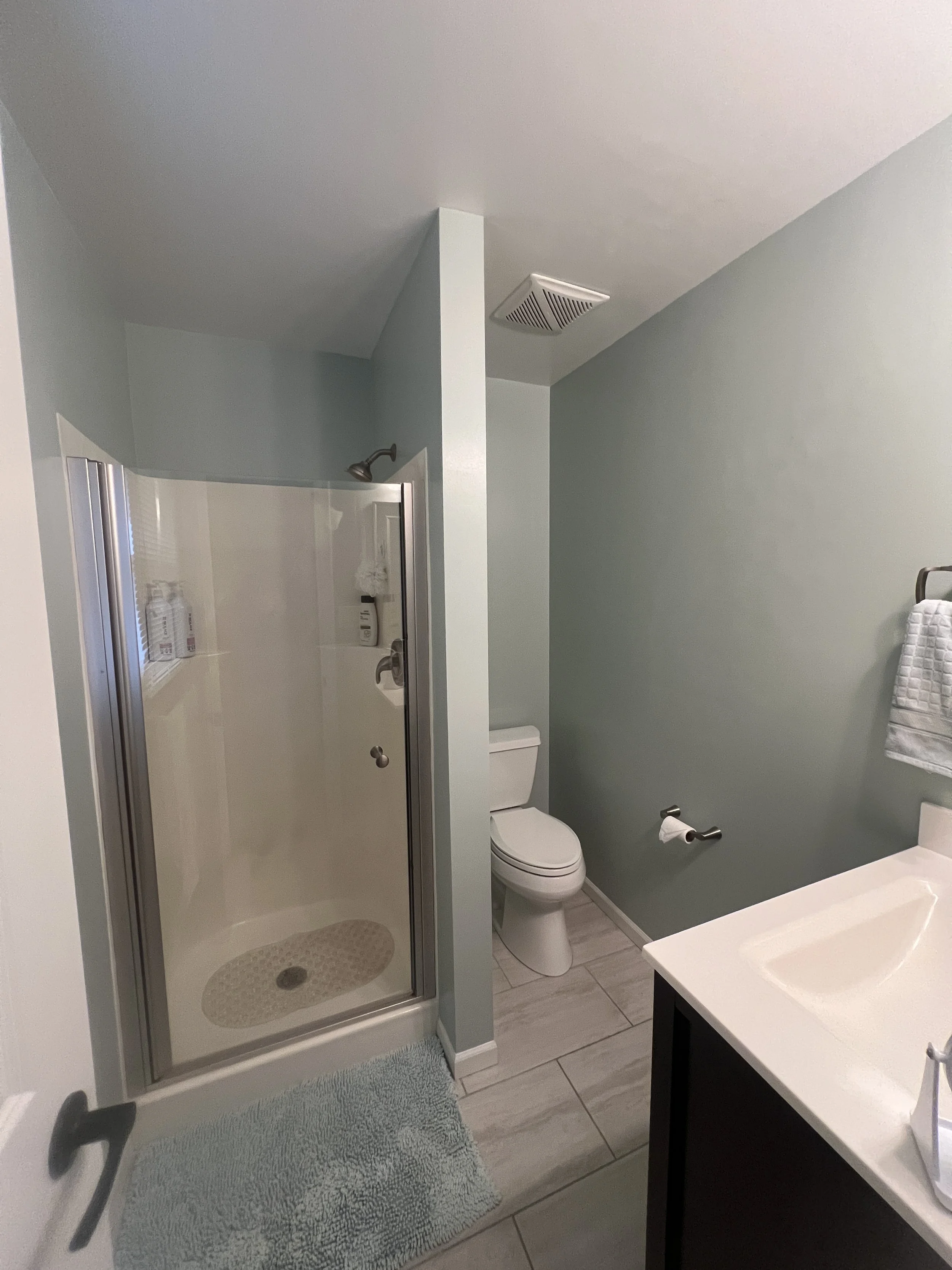 Bathroom Painting: How a Fresh Coat of Sherwin-Williams Paint Can Transform Your Space