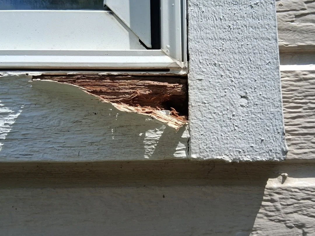 Siding Repairs and Exterior Painting: Why Inspection and Repairs Must Come First
