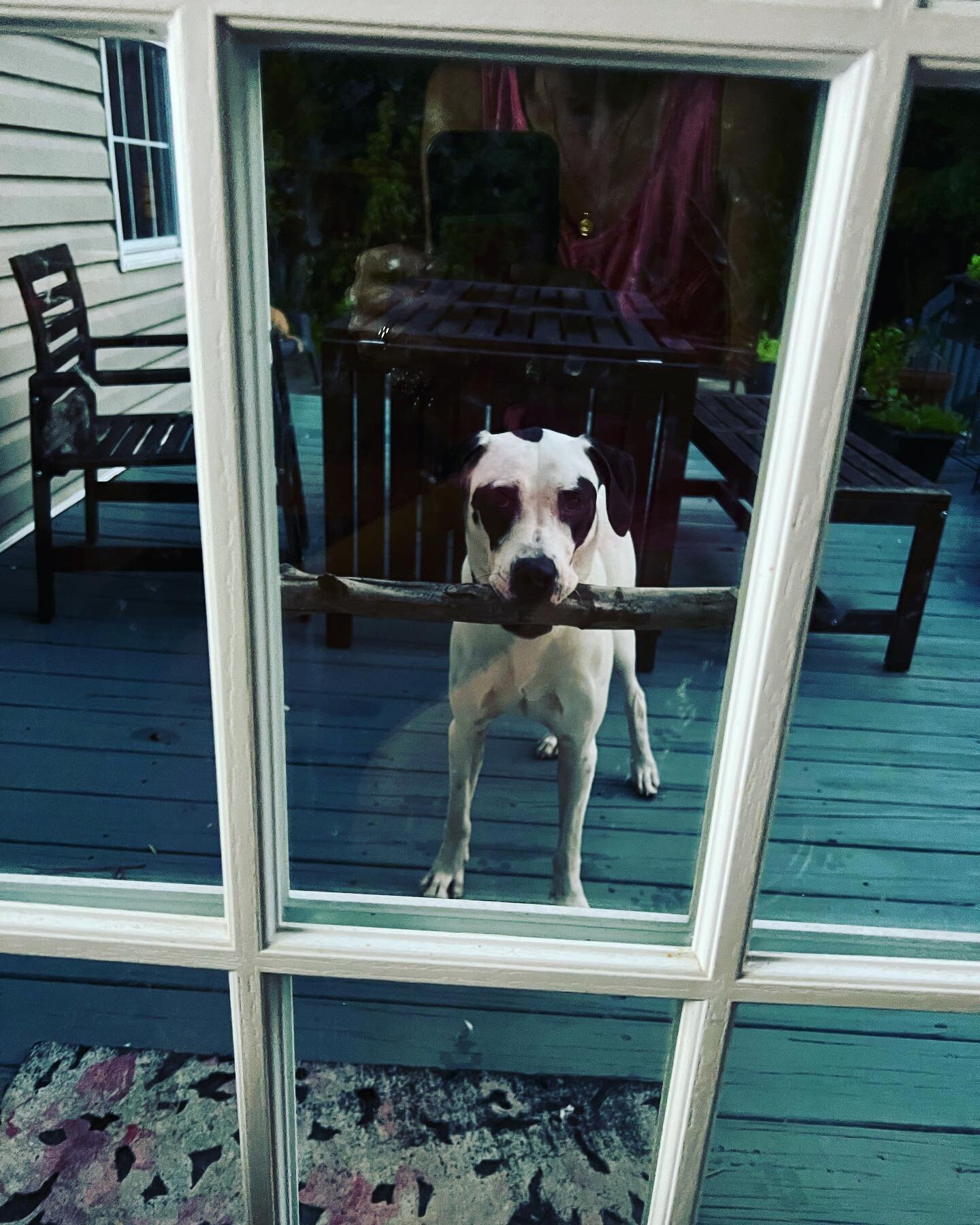 But mom&hellip; please let me bring it in?