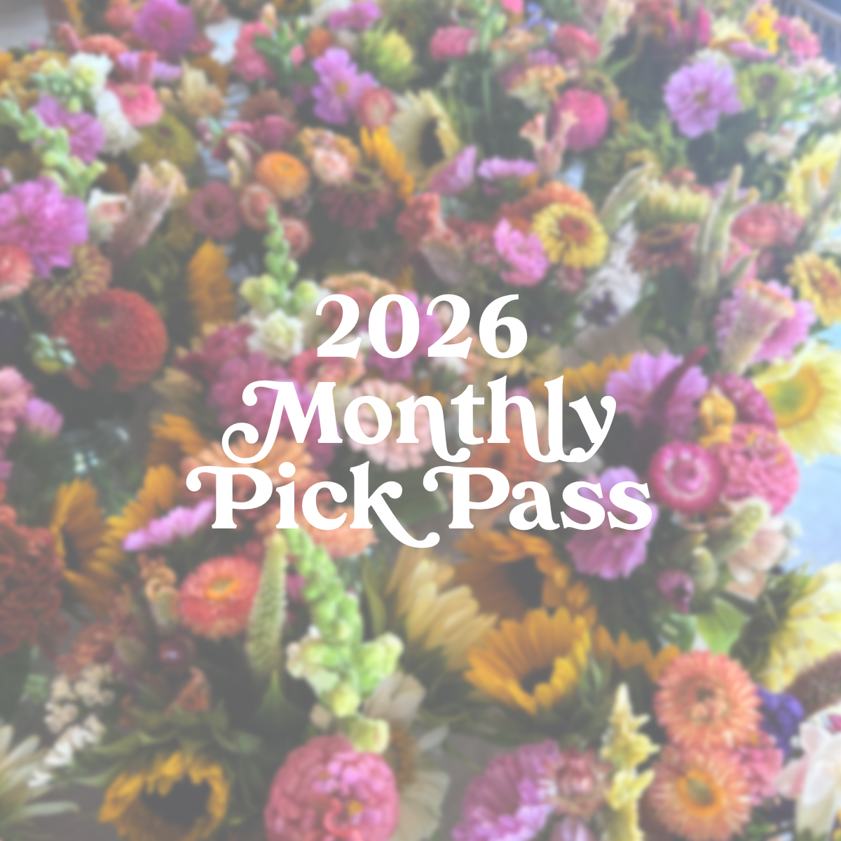 2026 Monthly Pick Pass