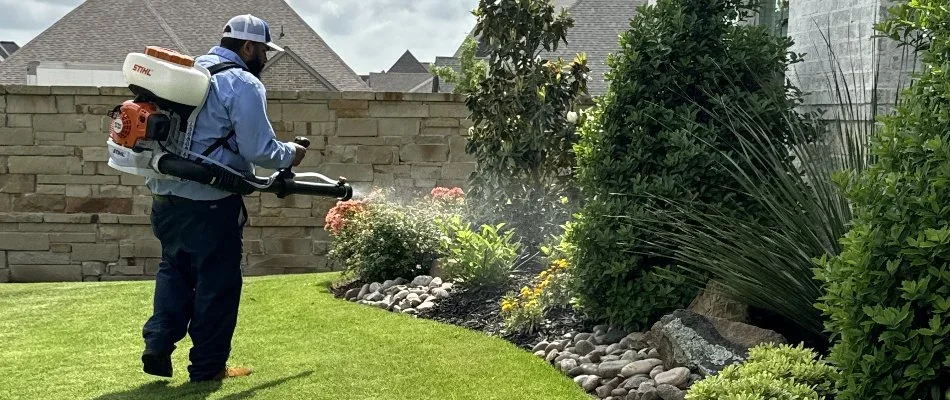 Mosquito control treatment applied to backyard vegetation