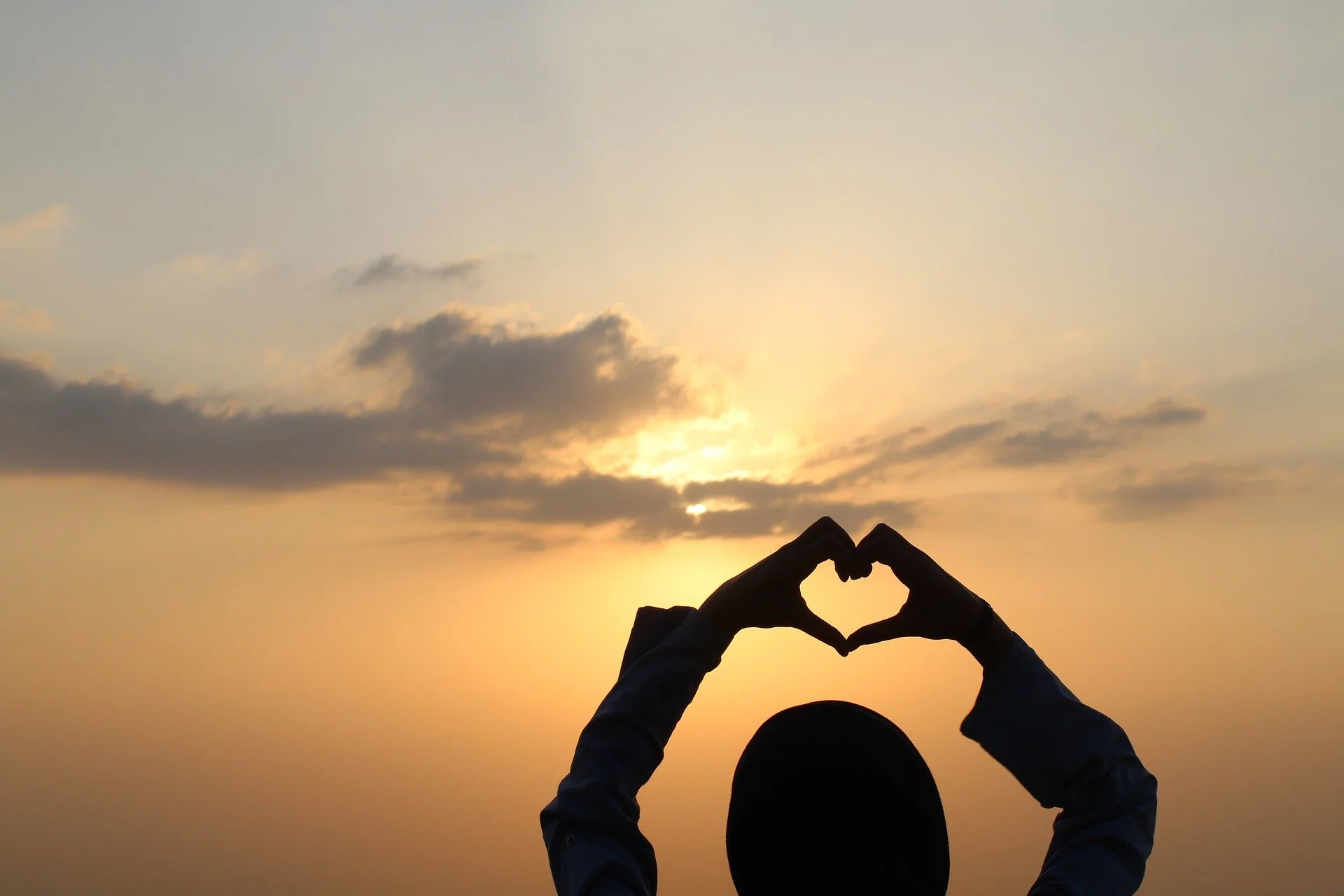 Mosquito Assassin Pest Control LLC