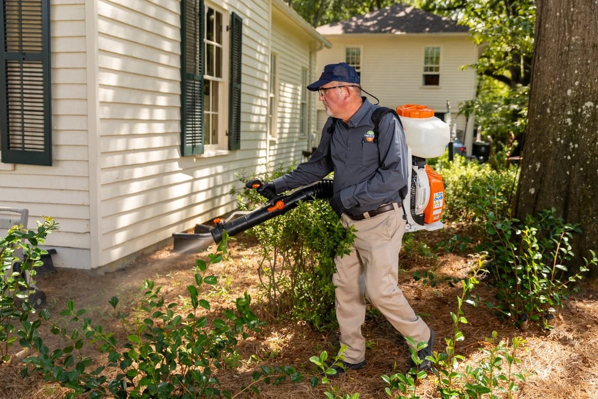 Technician applying mosquito treatment to shrubs