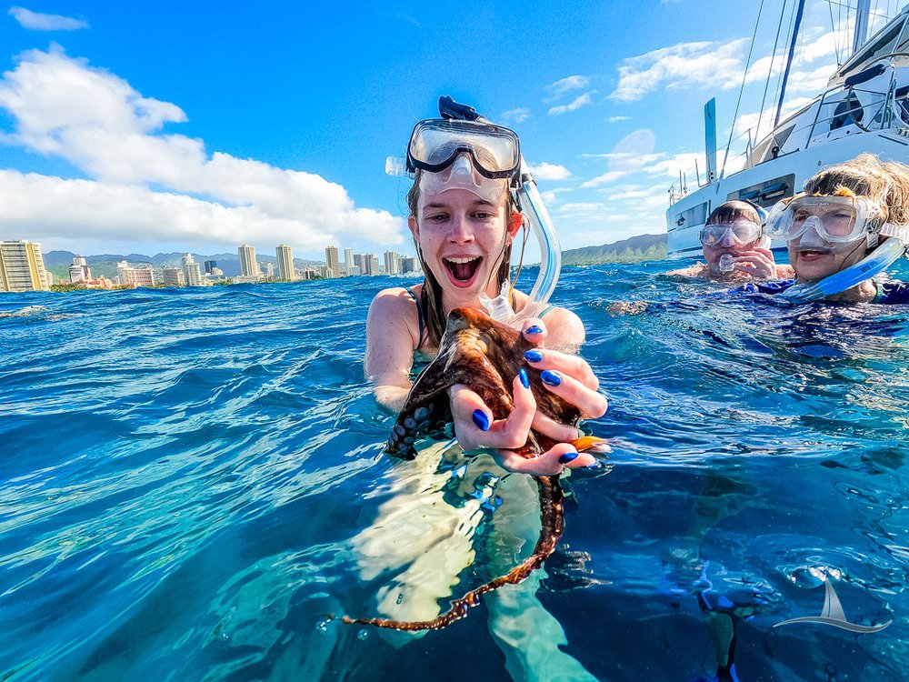 Holding an octopus